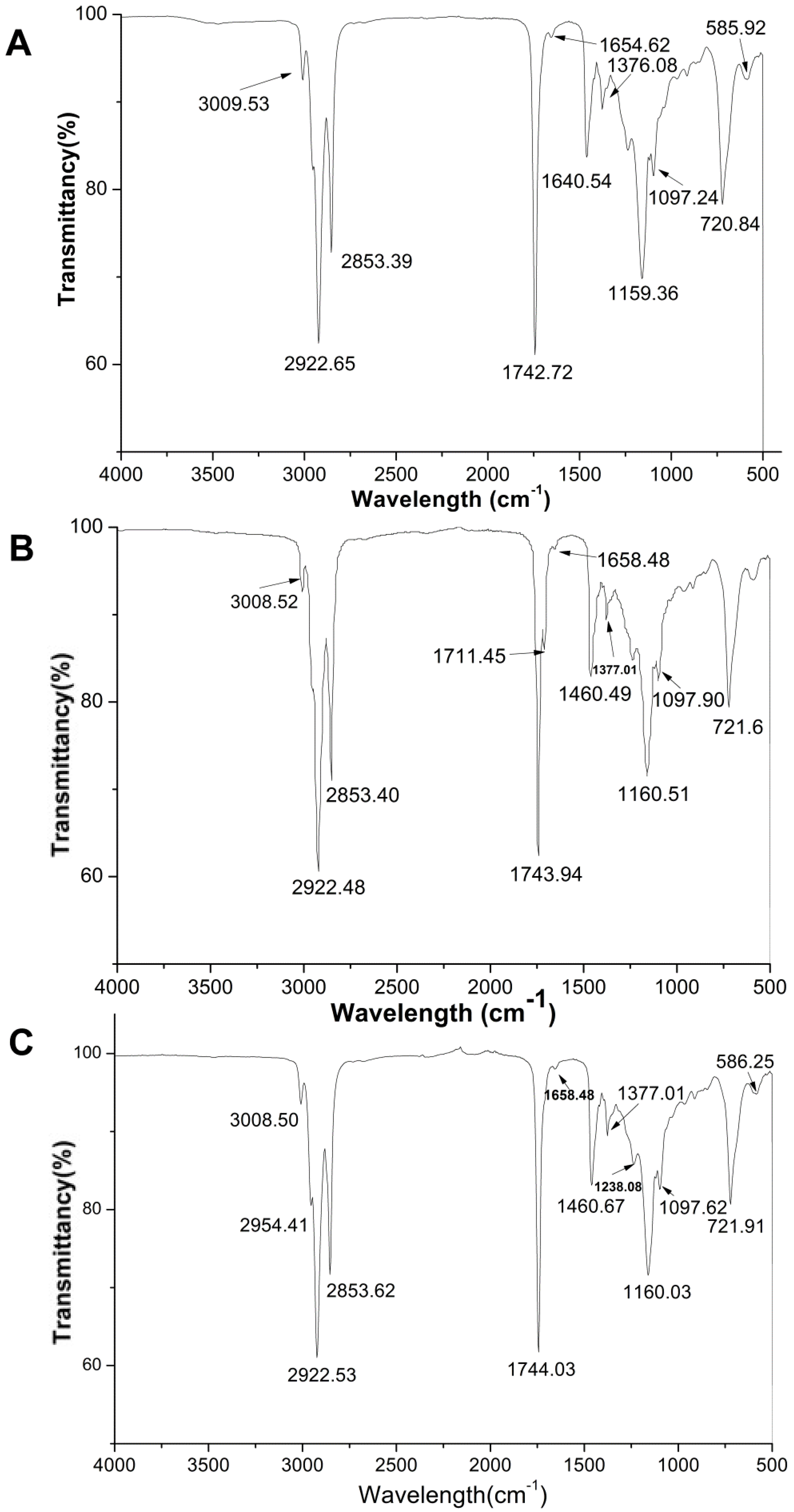 Molecules 27 02453 g002