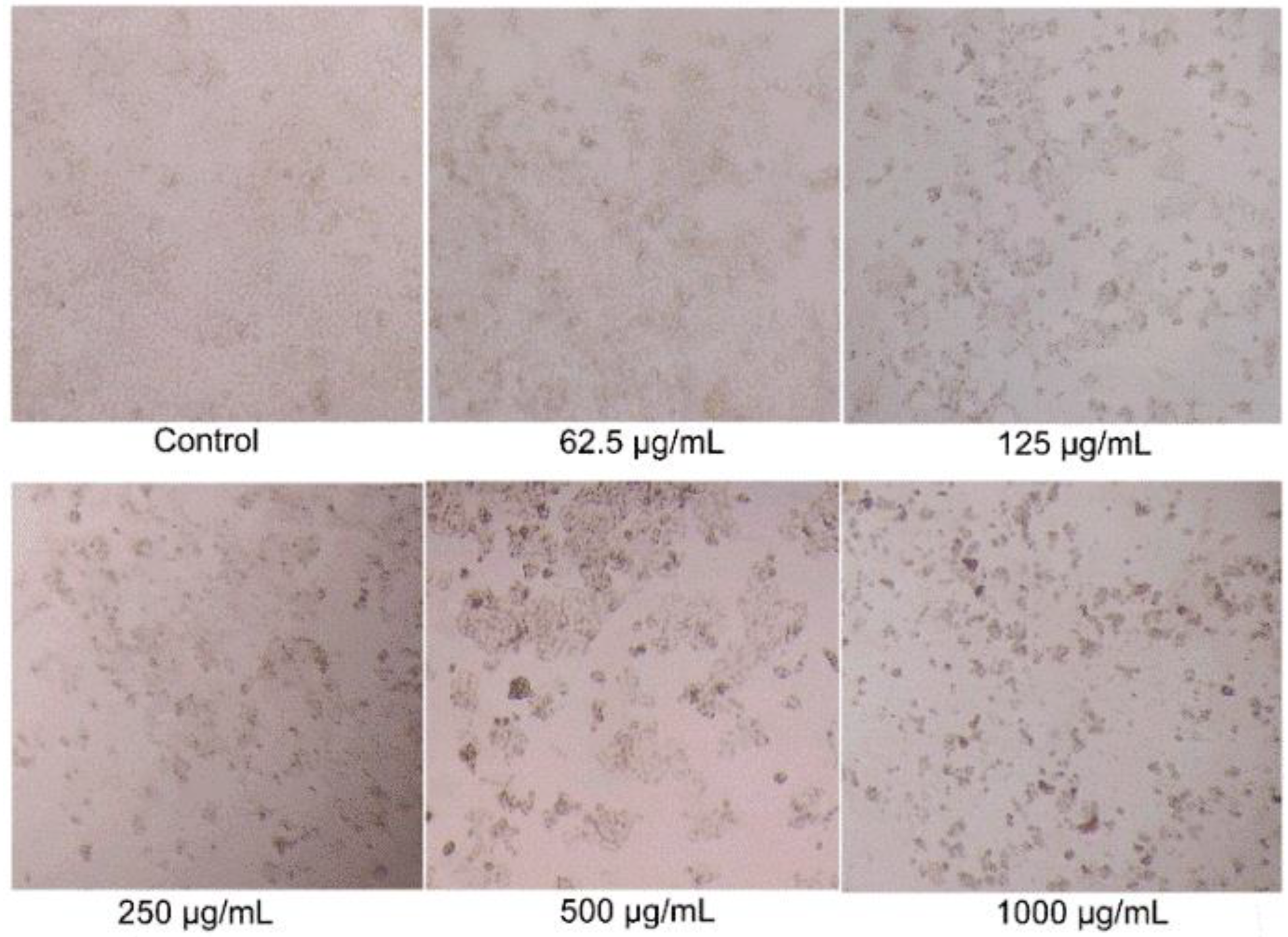 Molecules 27 02453 g003