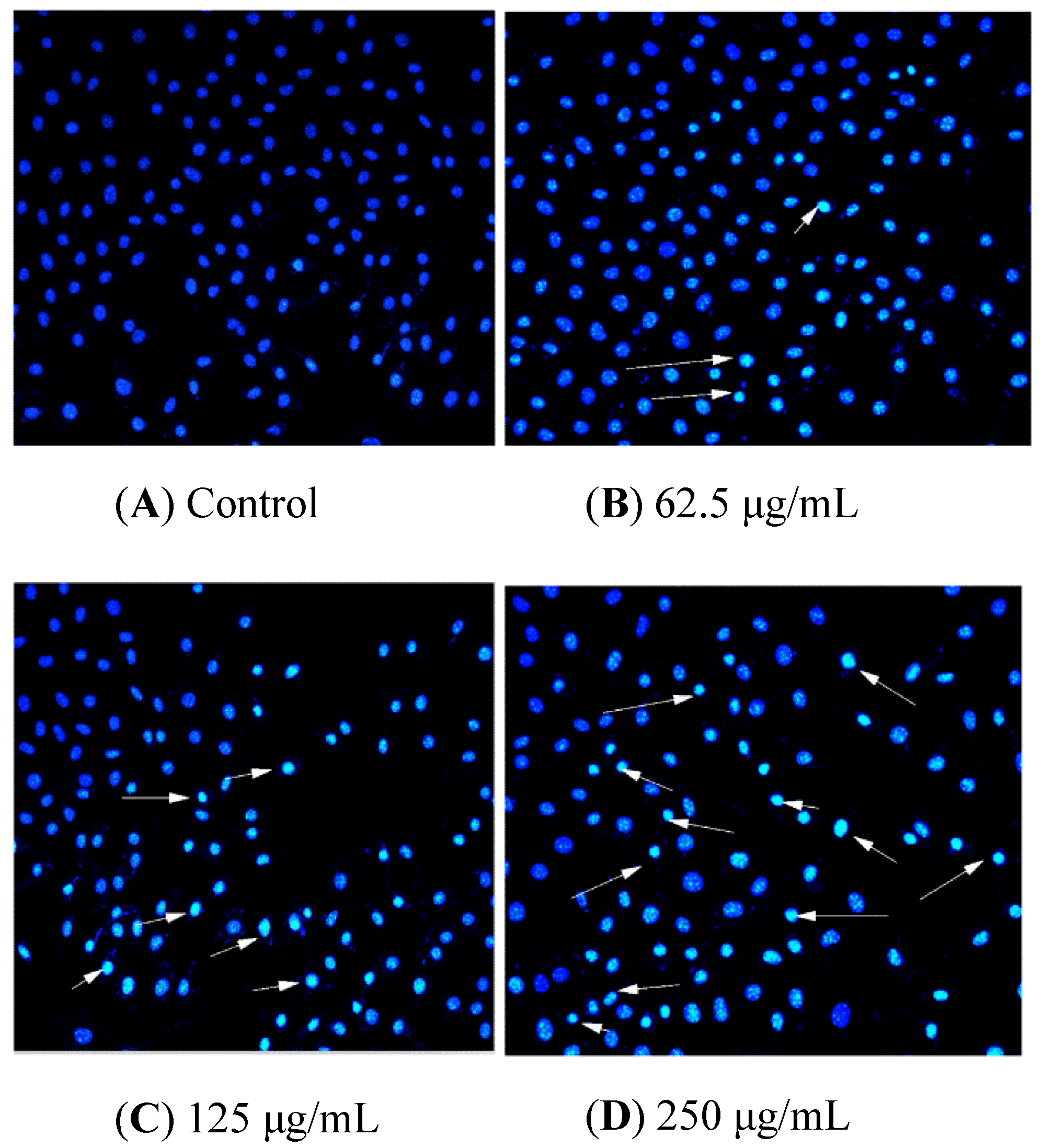 Molecules 27 02453 g004