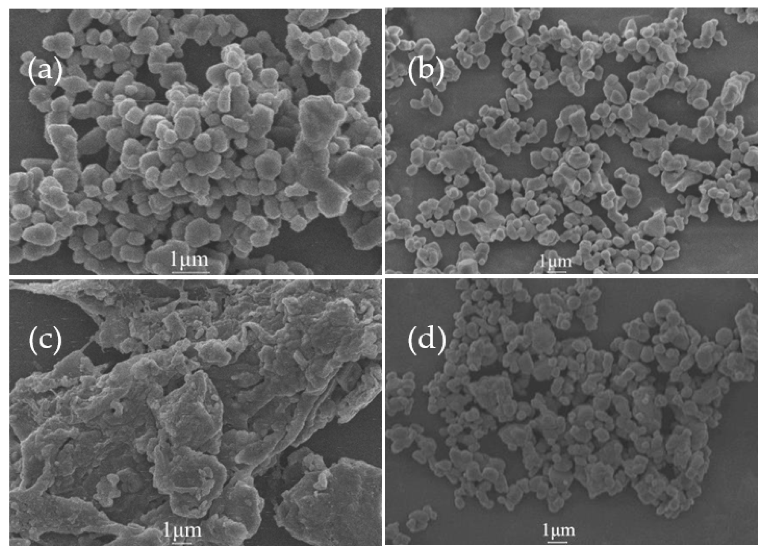 Molecules 27 02457 g008