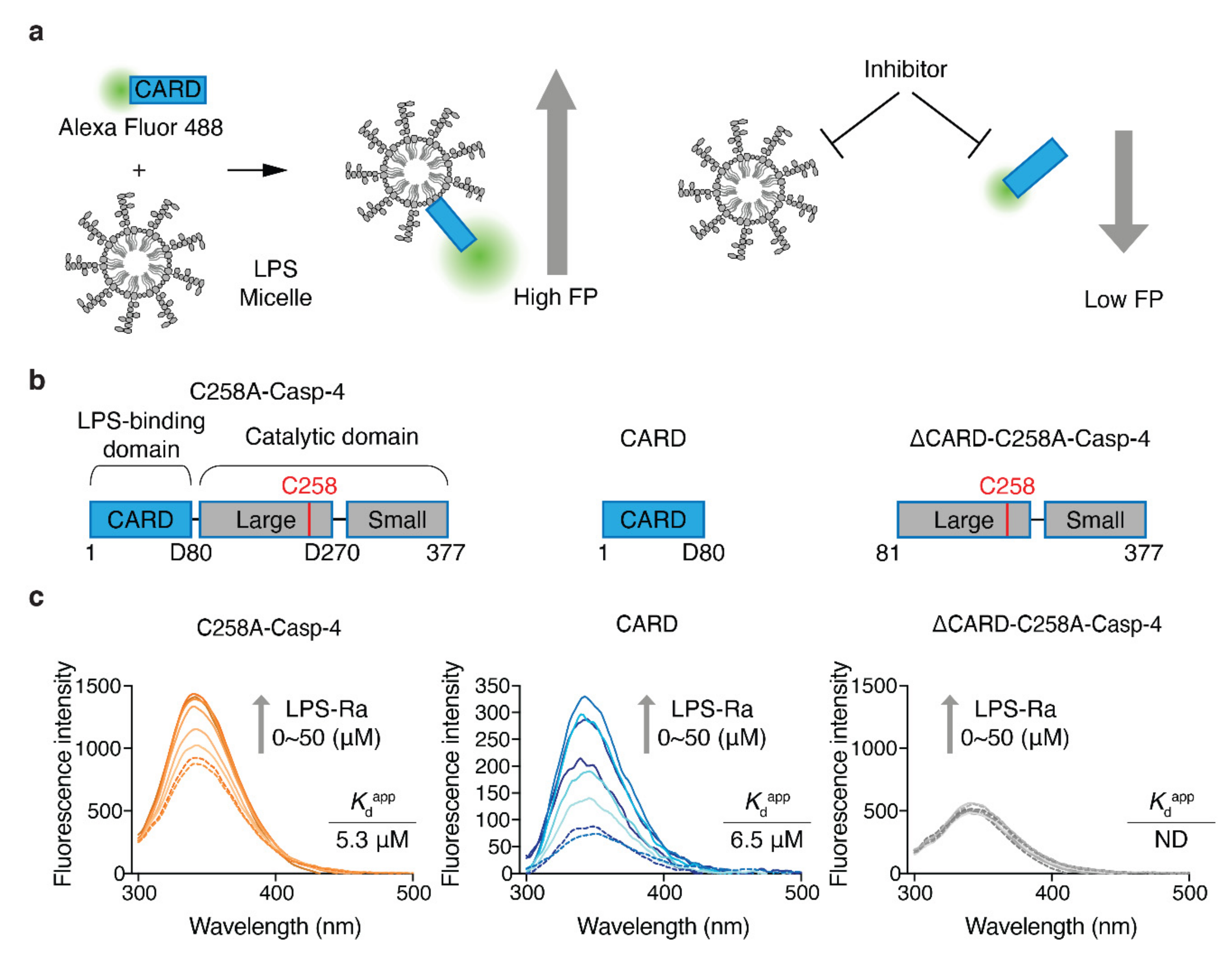 Molecules 27 02458 g001