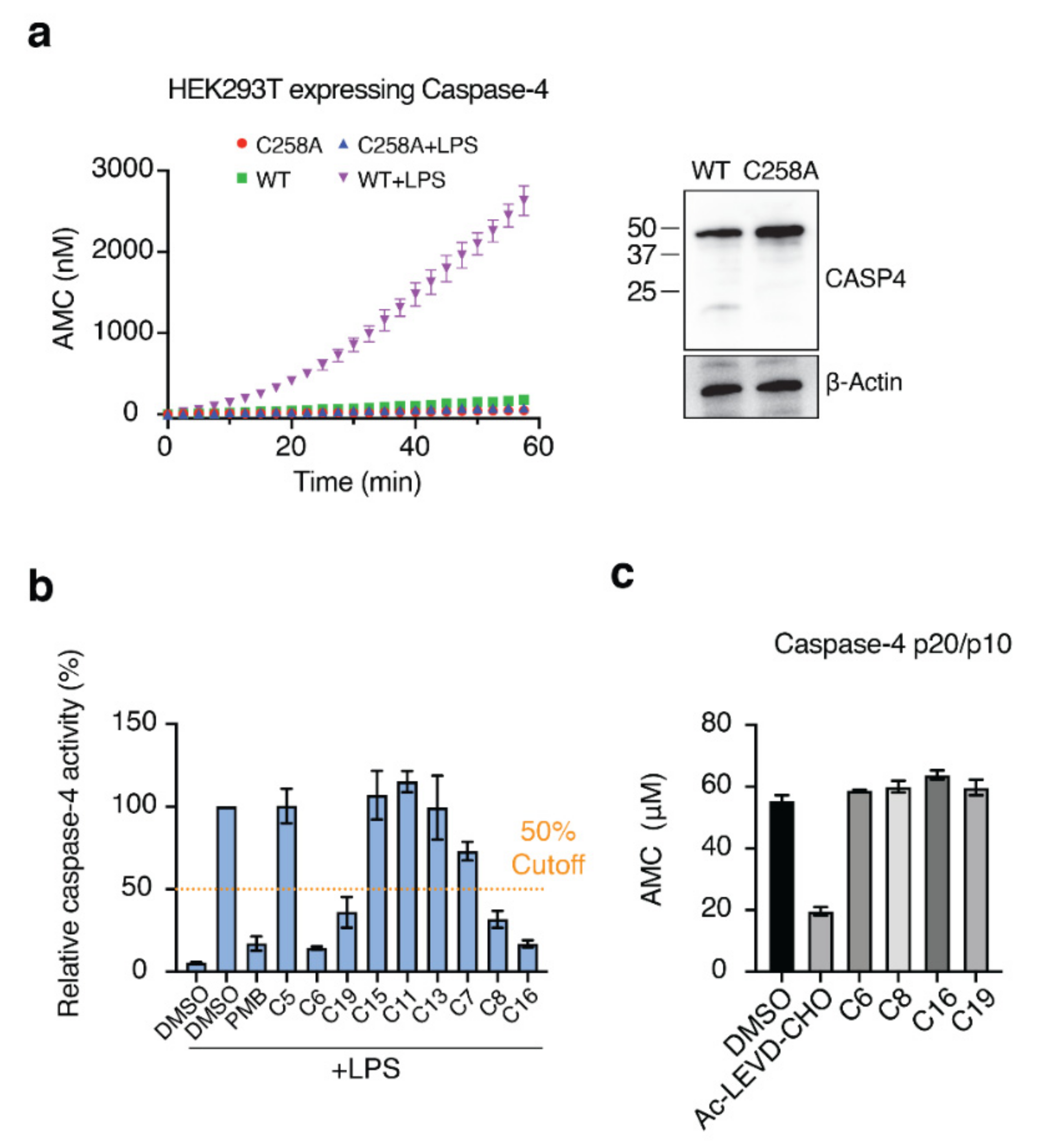 Molecules 27 02458 g004