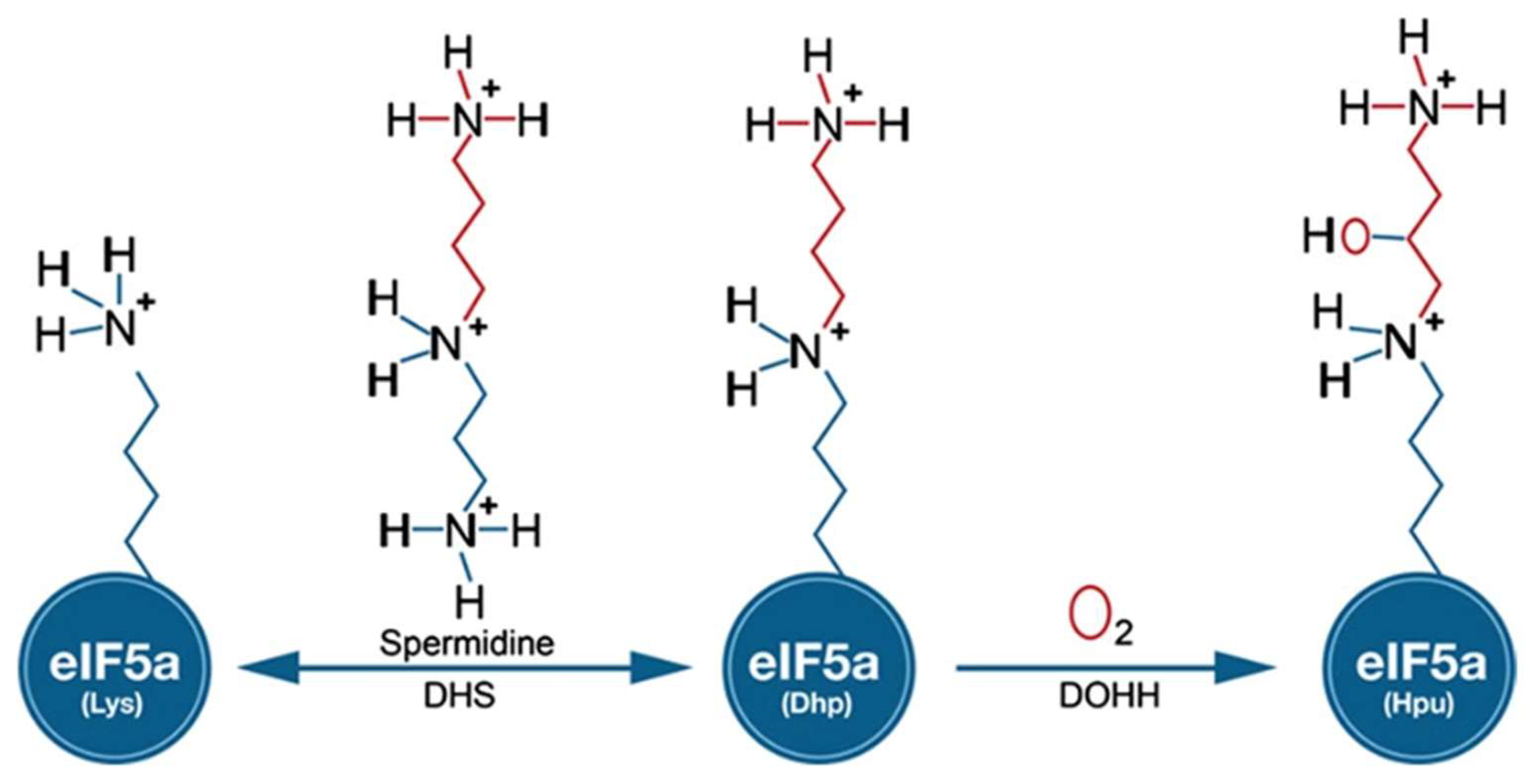Molecules 27 02463 g001