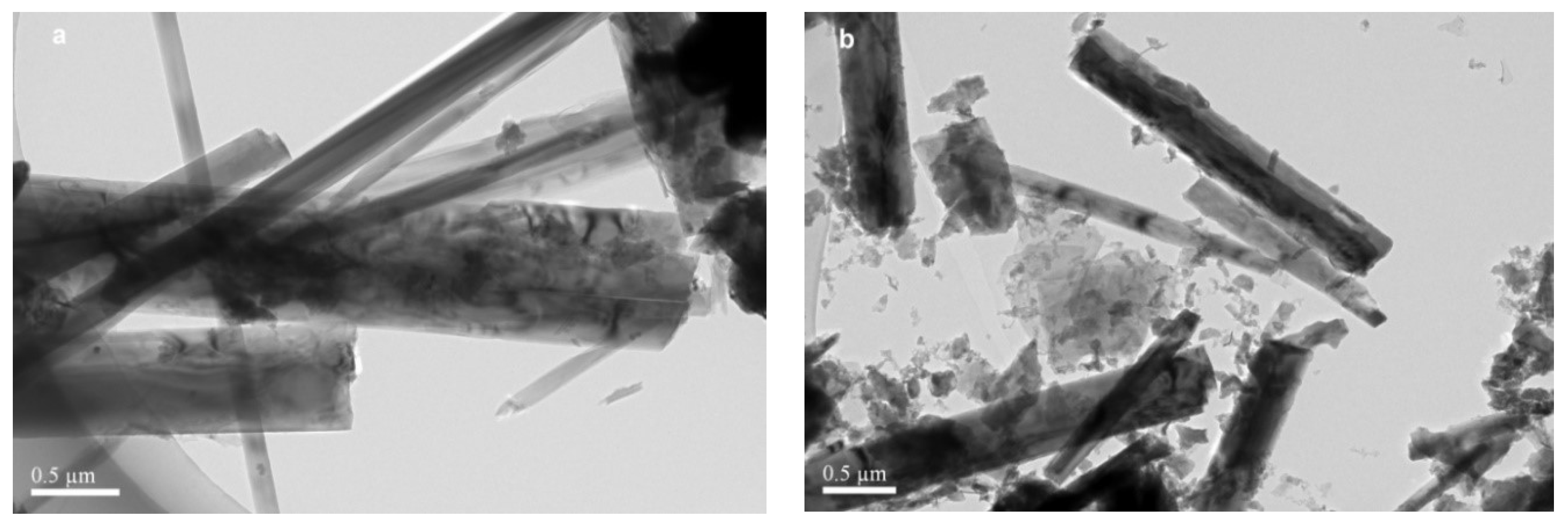 Molecules 27 02464 g005