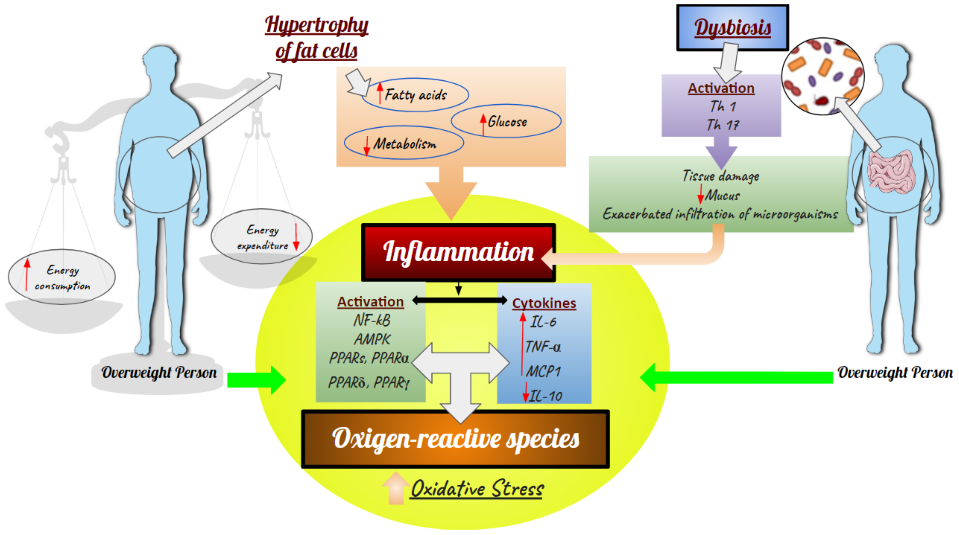 Molecules 27 02477 g003