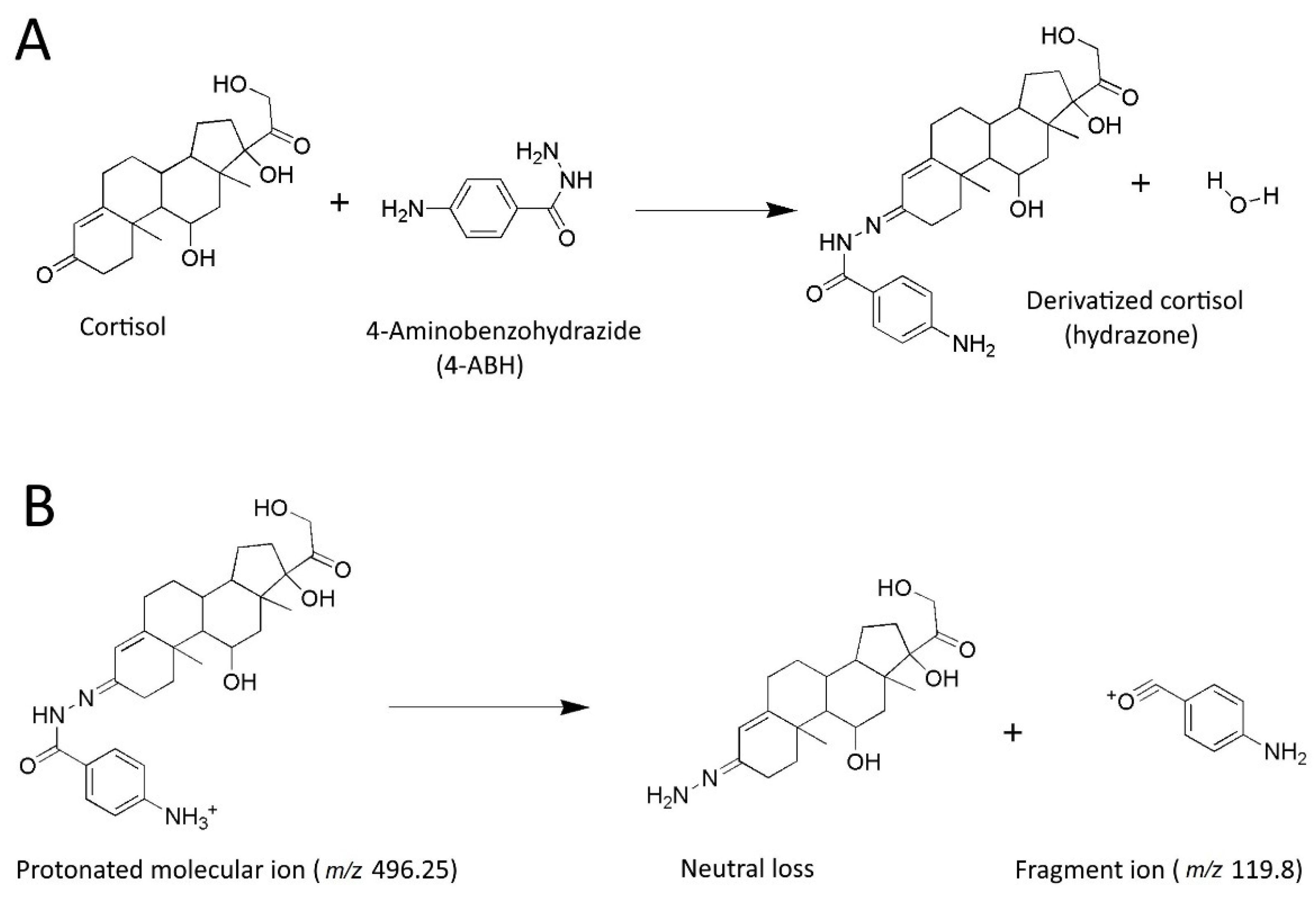 Molecules 27 02481 g001