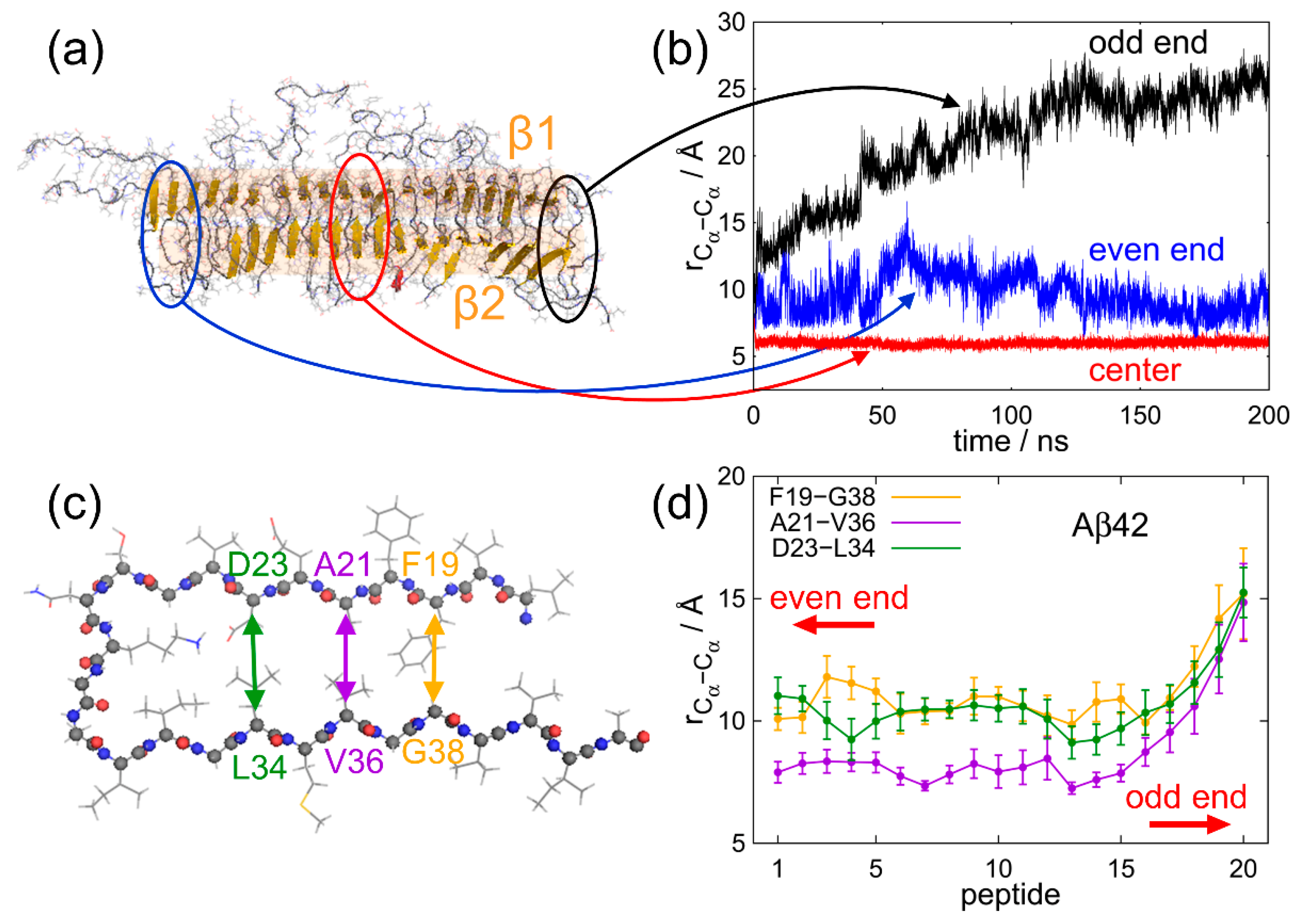 Molecules 27 02483 g010