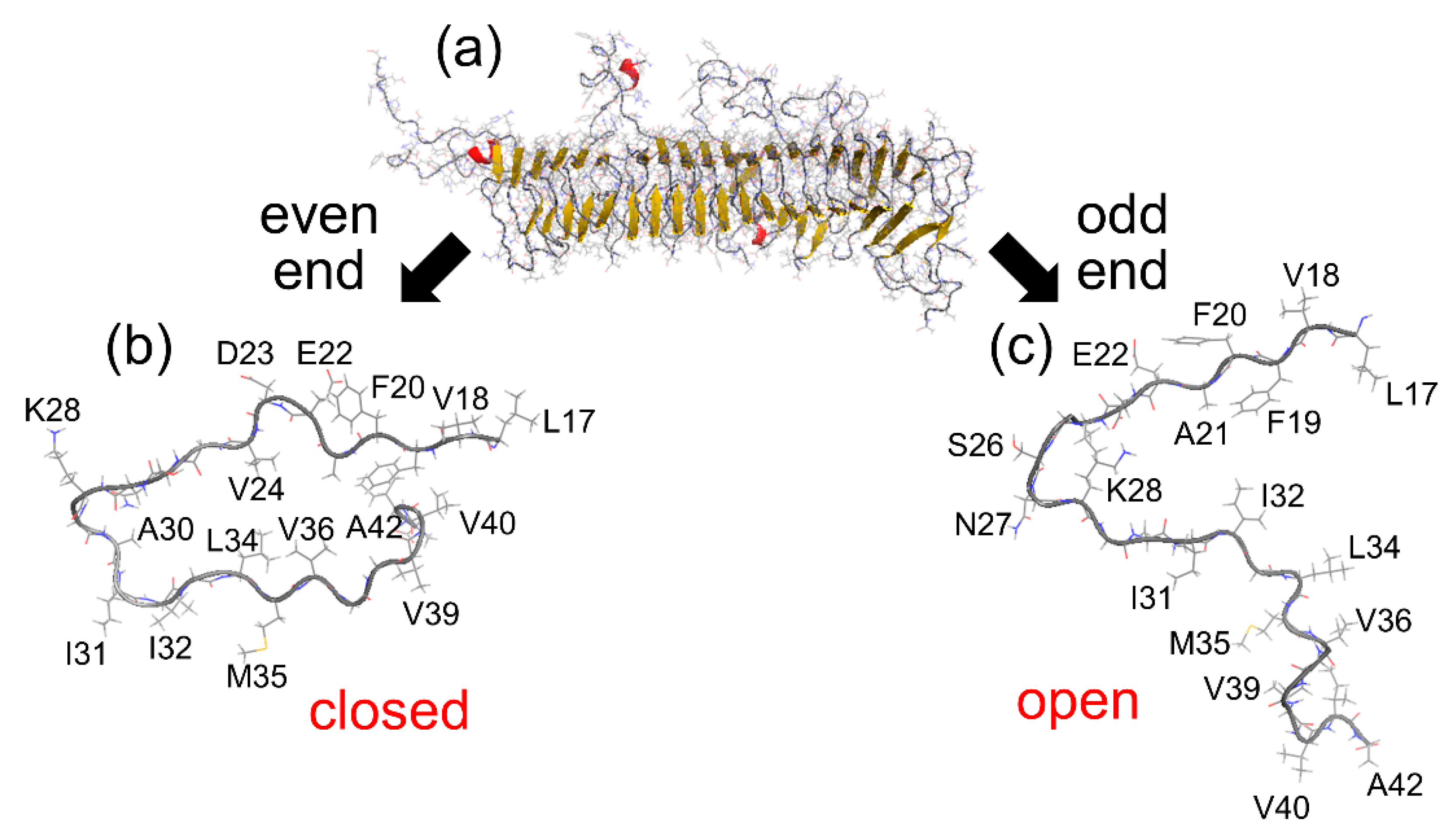 Molecules 27 02483 g011