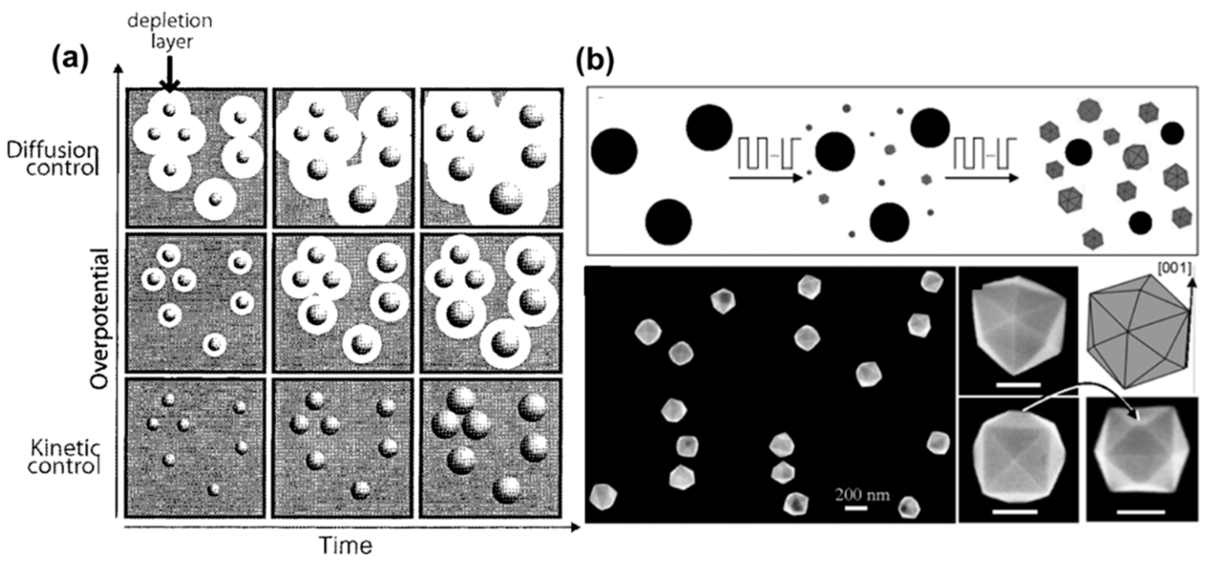 Molecules 27 02485 g004