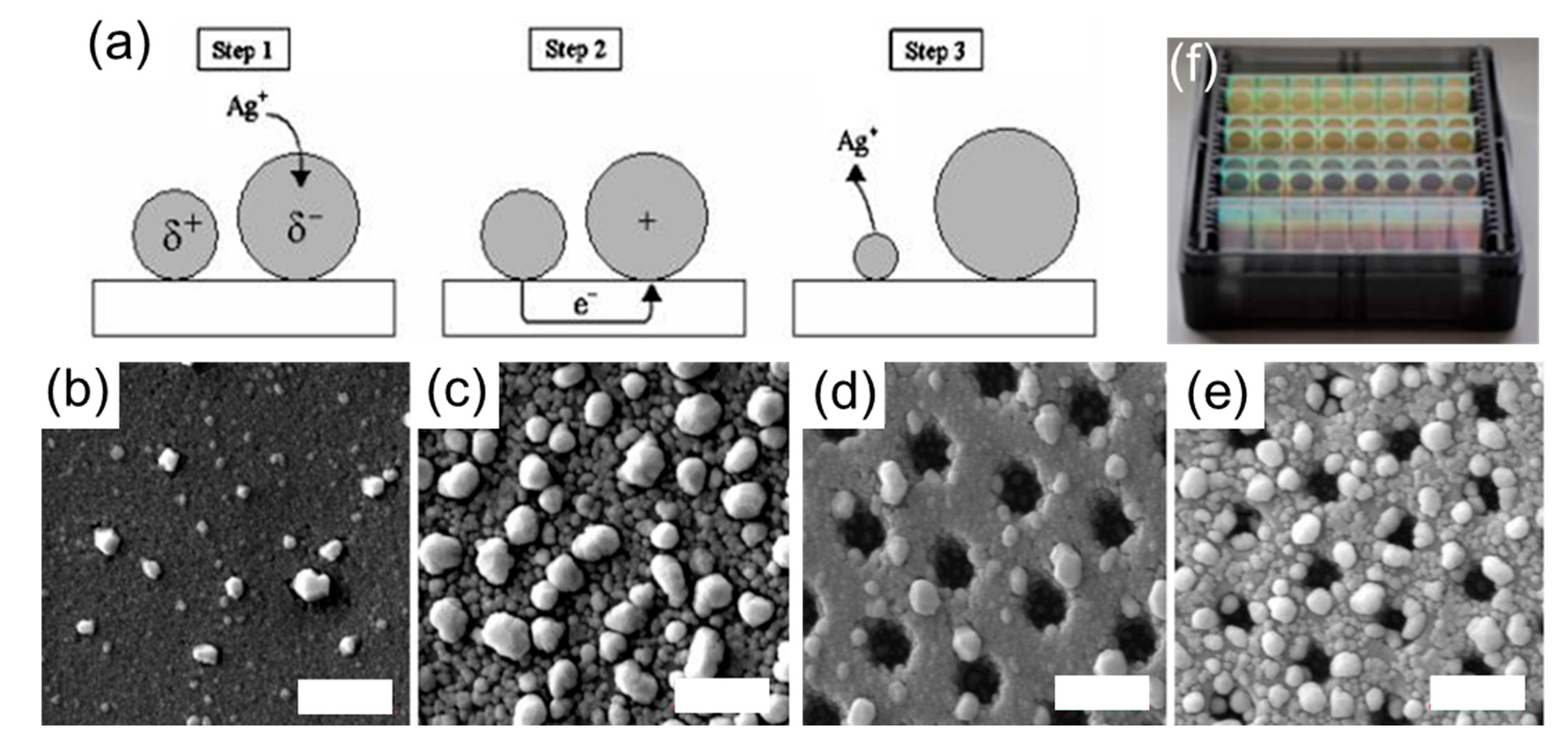 Molecules 27 02485 g005