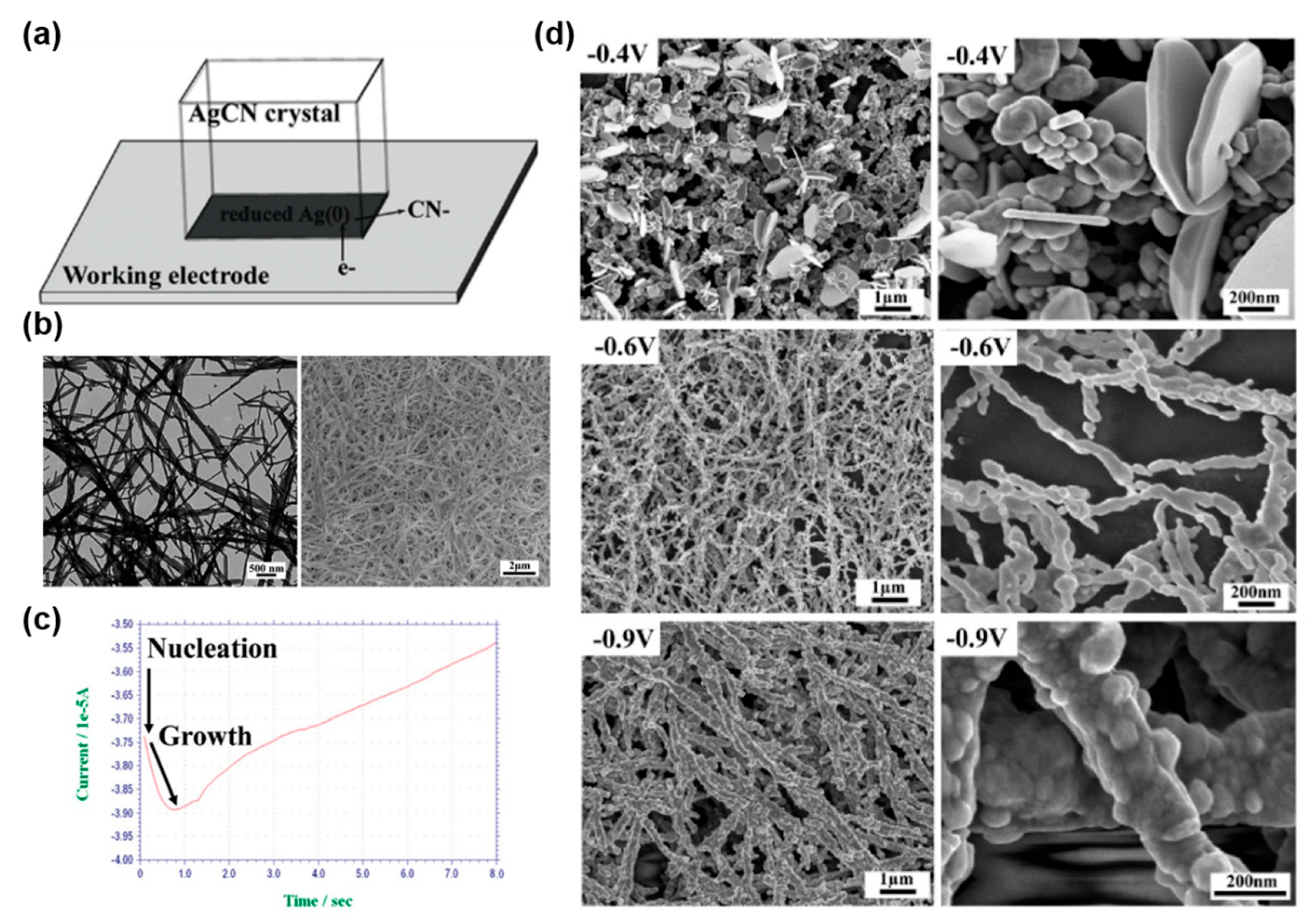 Molecules 27 02485 g007
