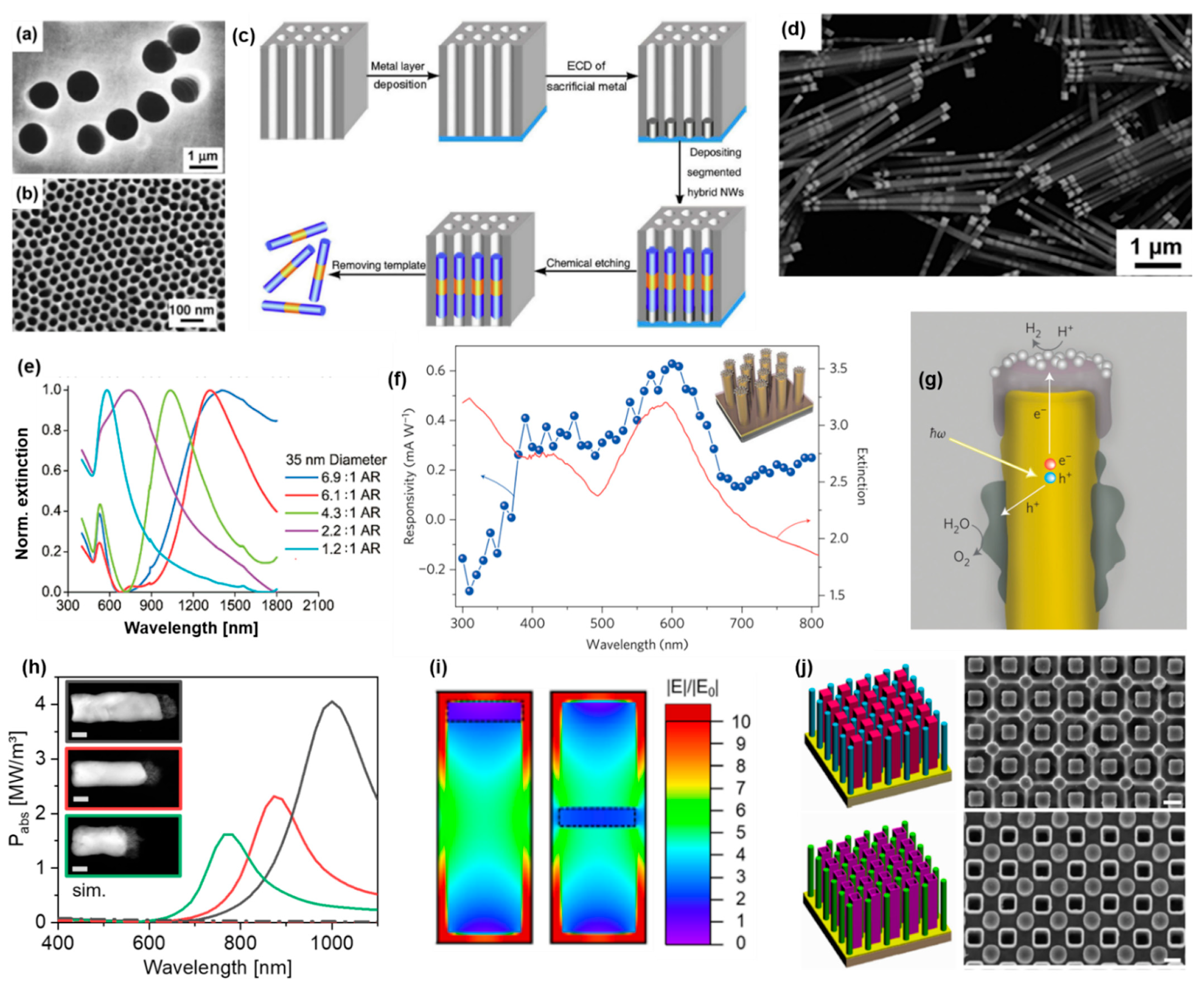 Molecules 27 02485 g010