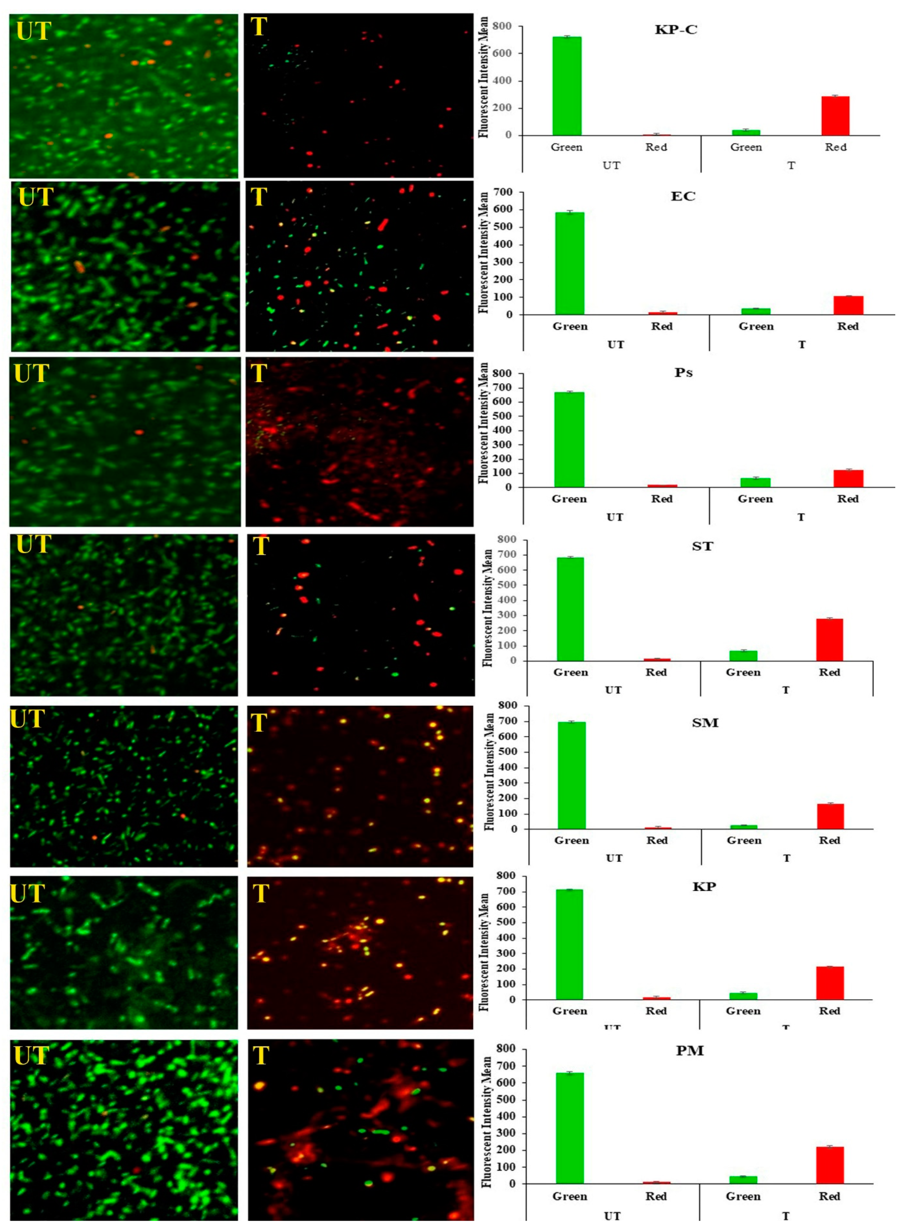 Molecules 27 02489 g006