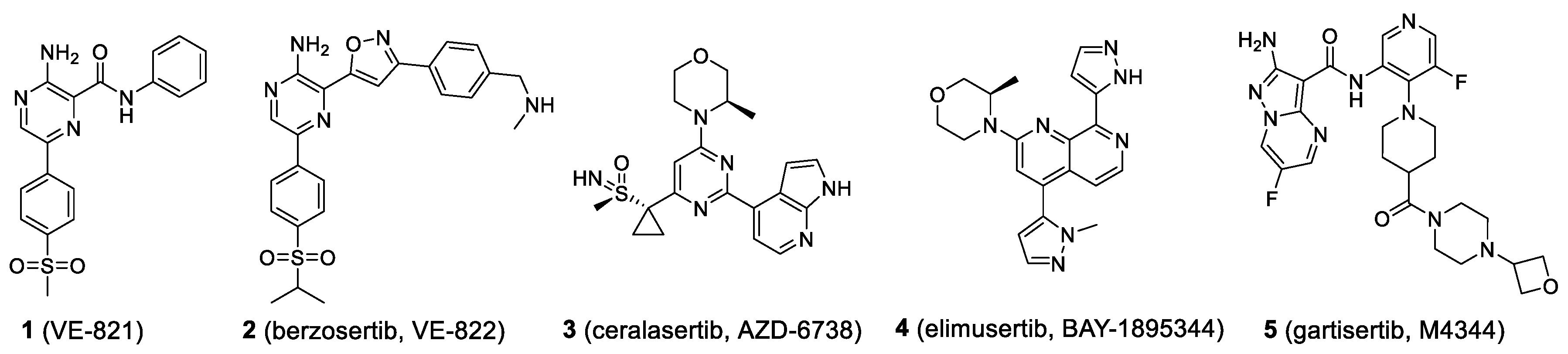 Molecules 27 02491 g004