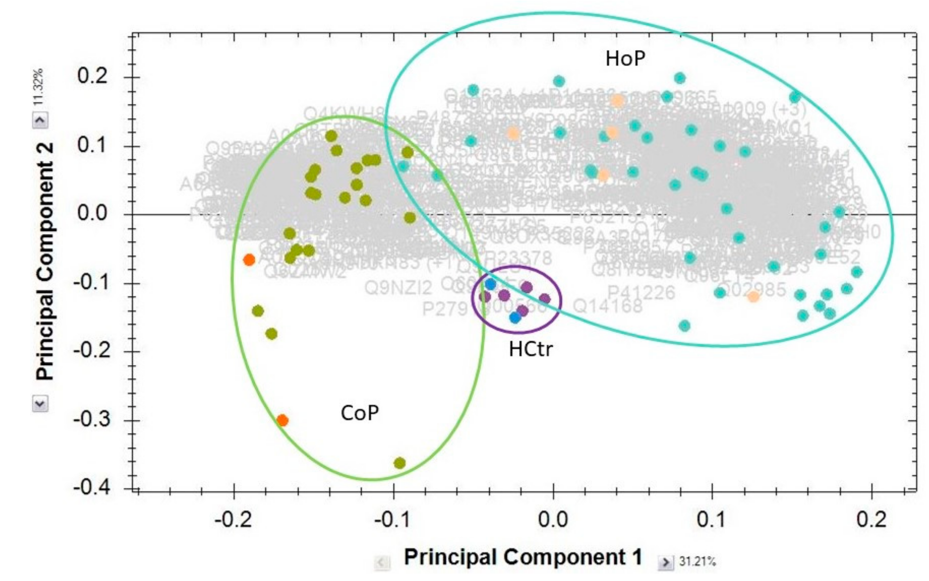Molecules 27 02495 g001