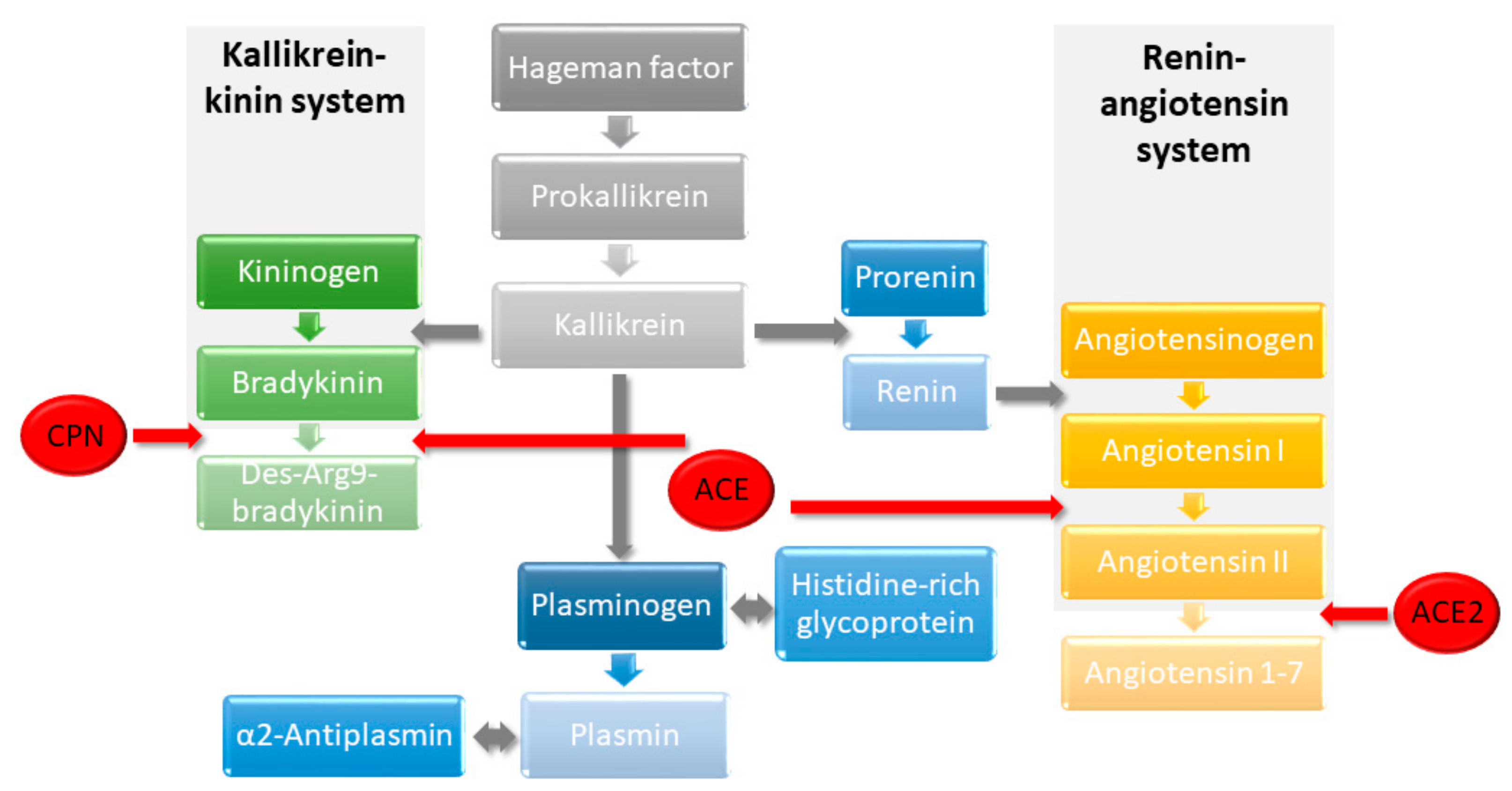 Molecules 27 02495 g007