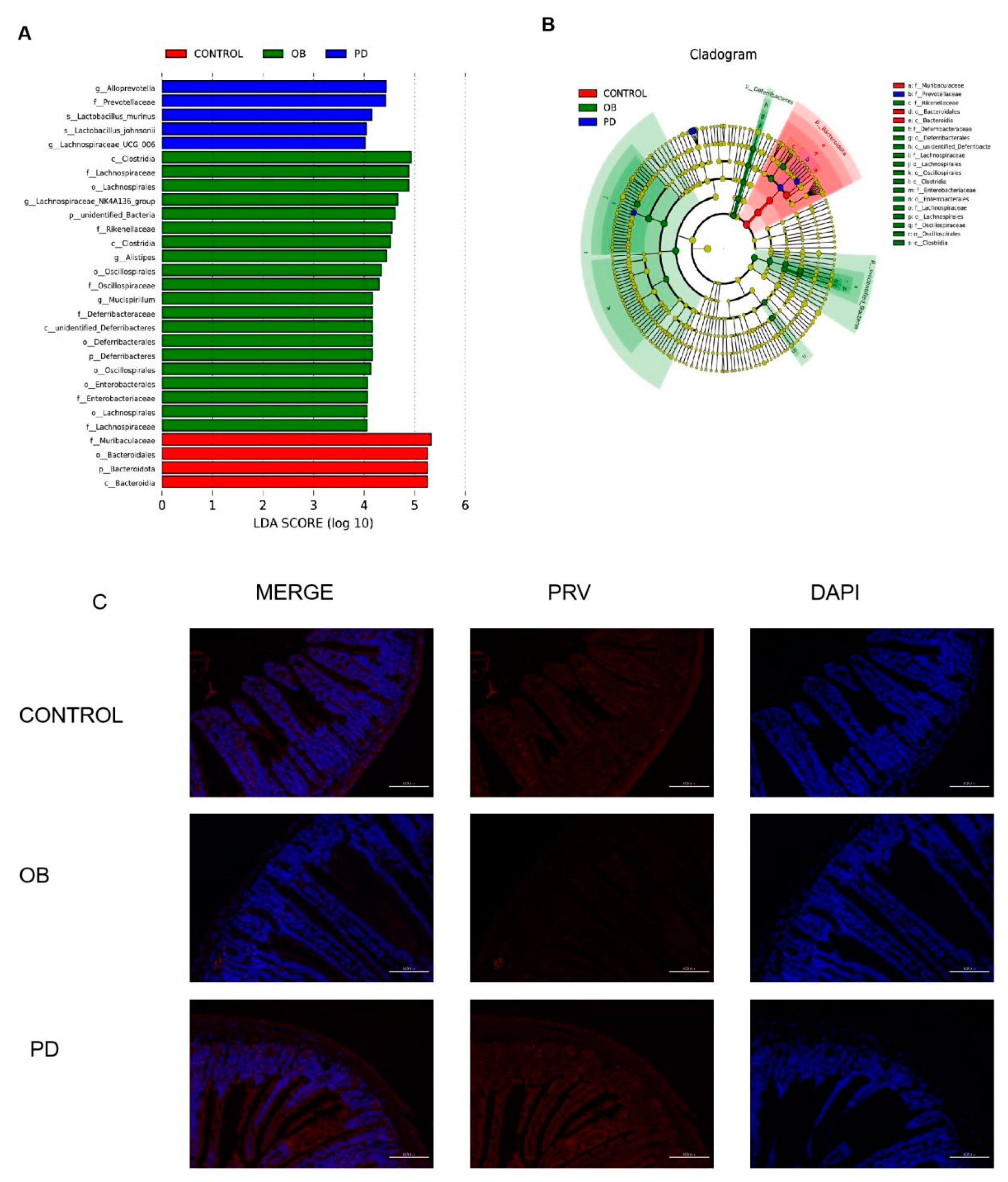 Molecules 27 02502 g005