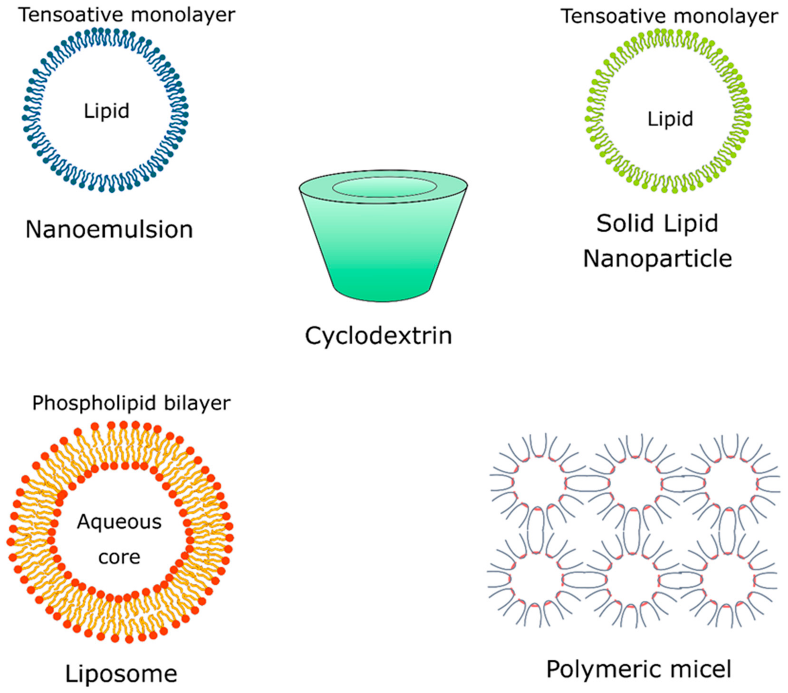 Molecules 27 02519 g004