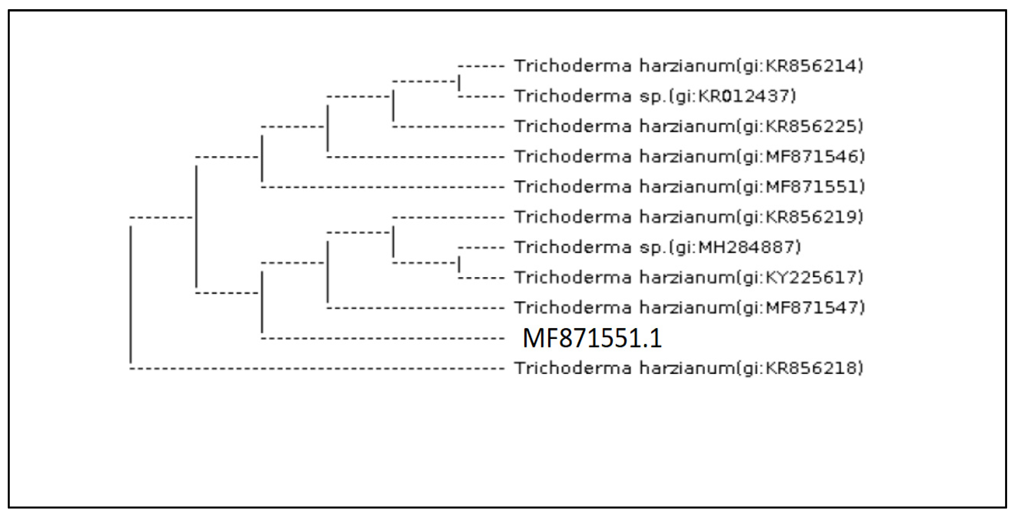 Molecules 27 02525 g003
