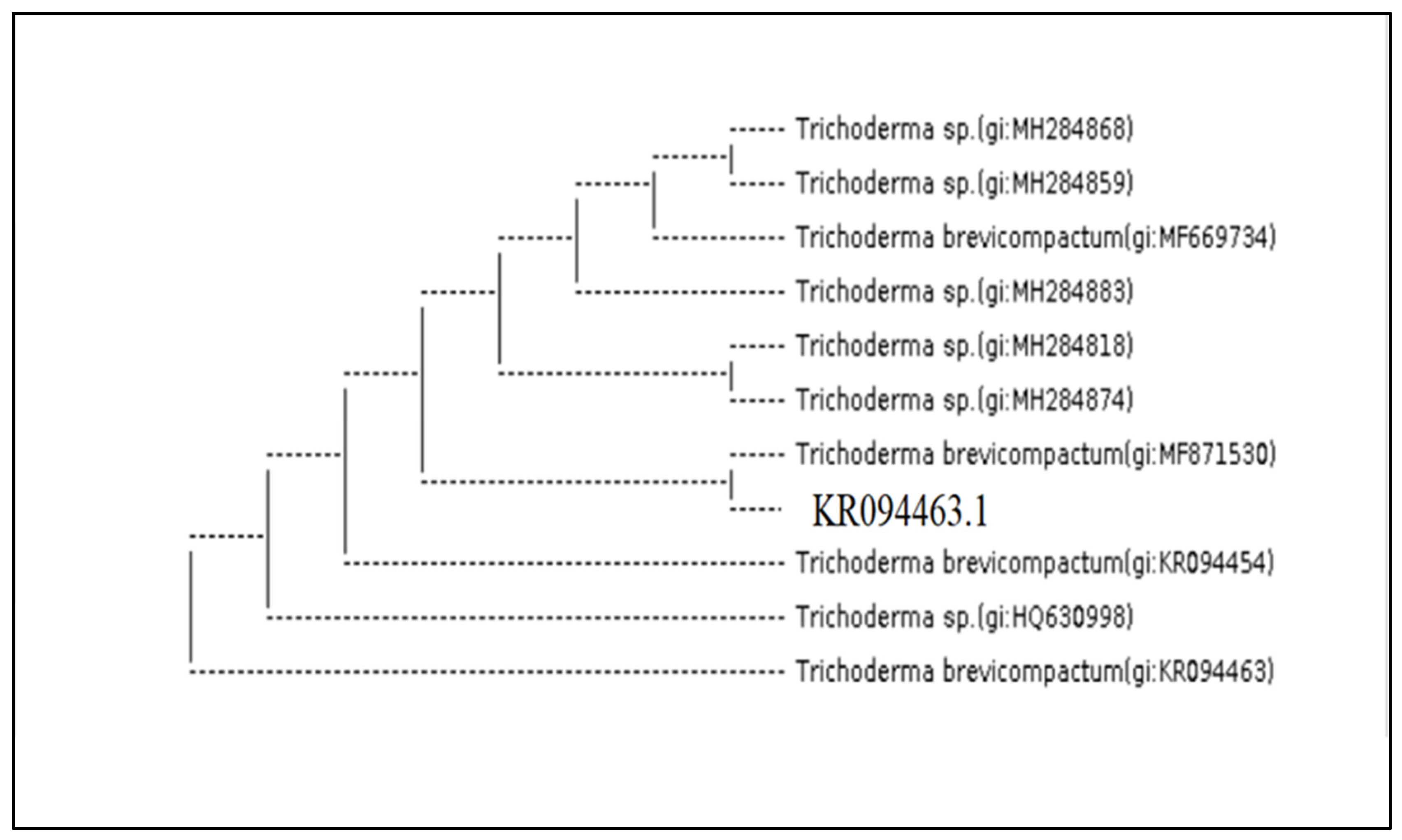 Molecules 27 02525 g004