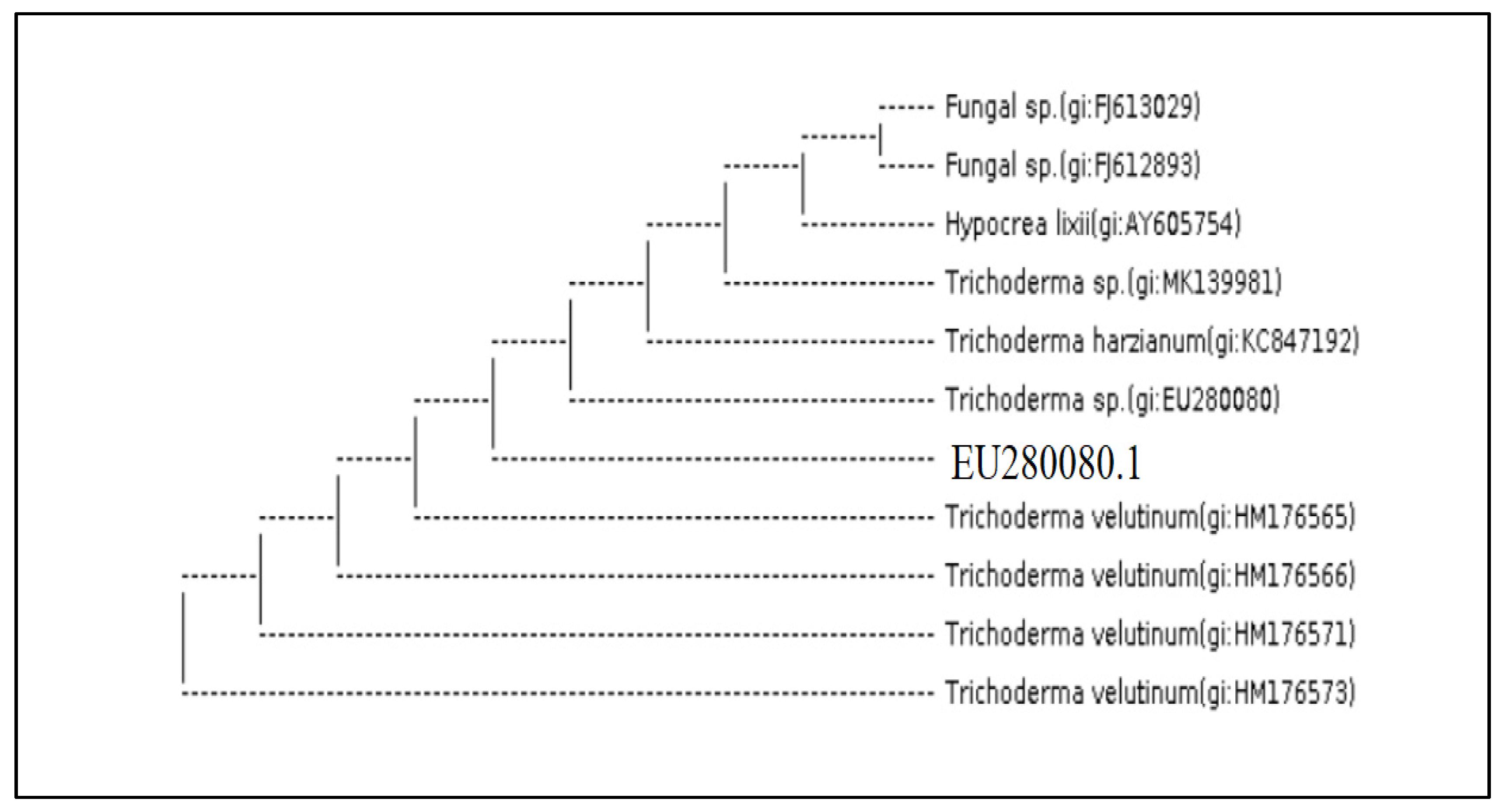 Molecules 27 02525 g005