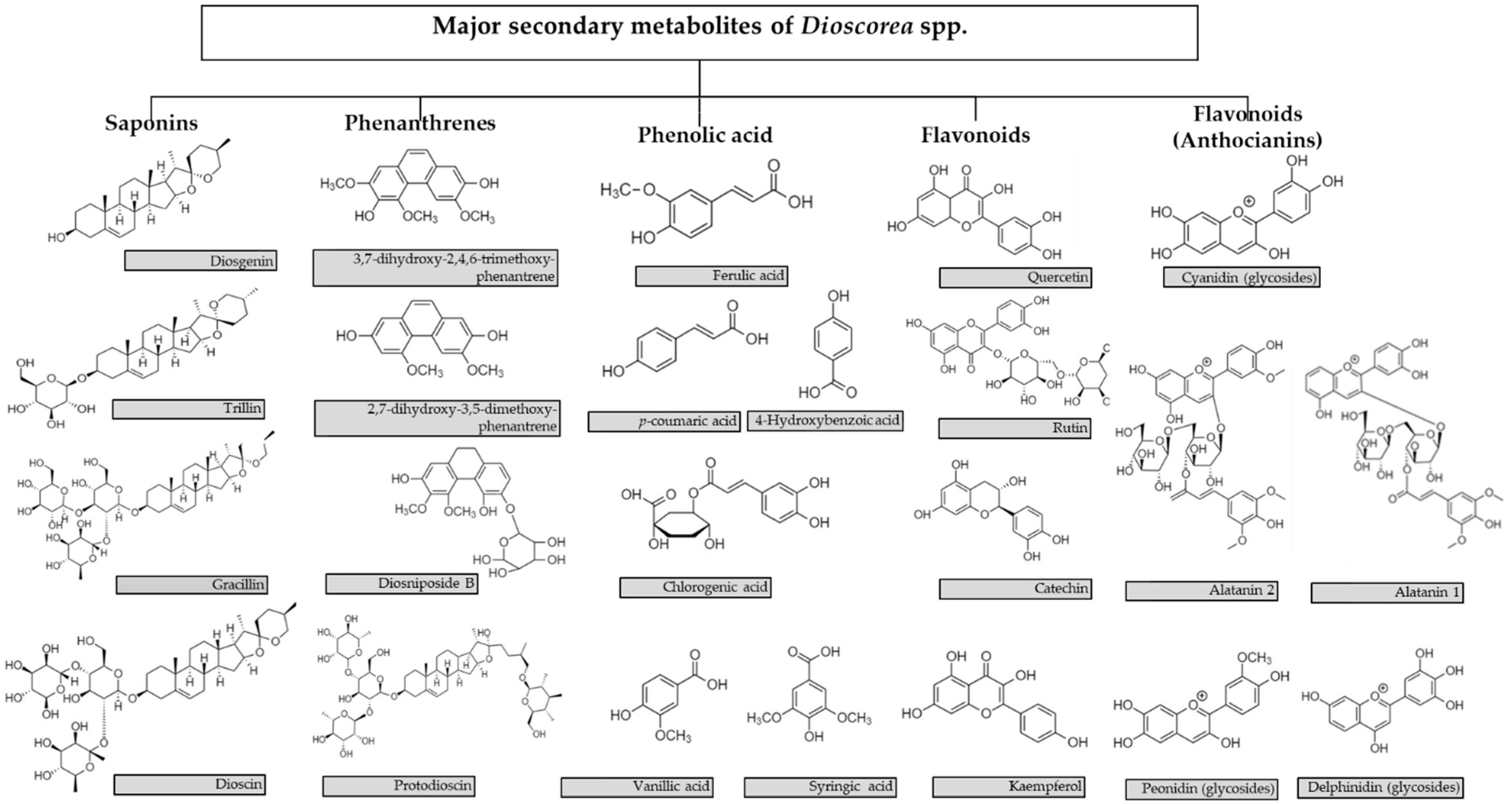 Molecules 27 02530 g001