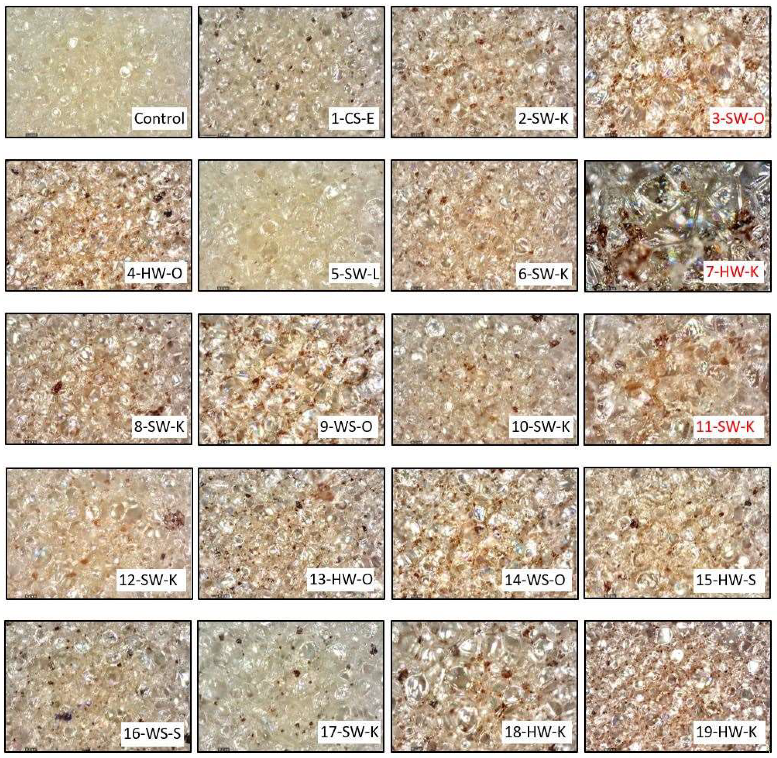 Molecules 27 02535 g006