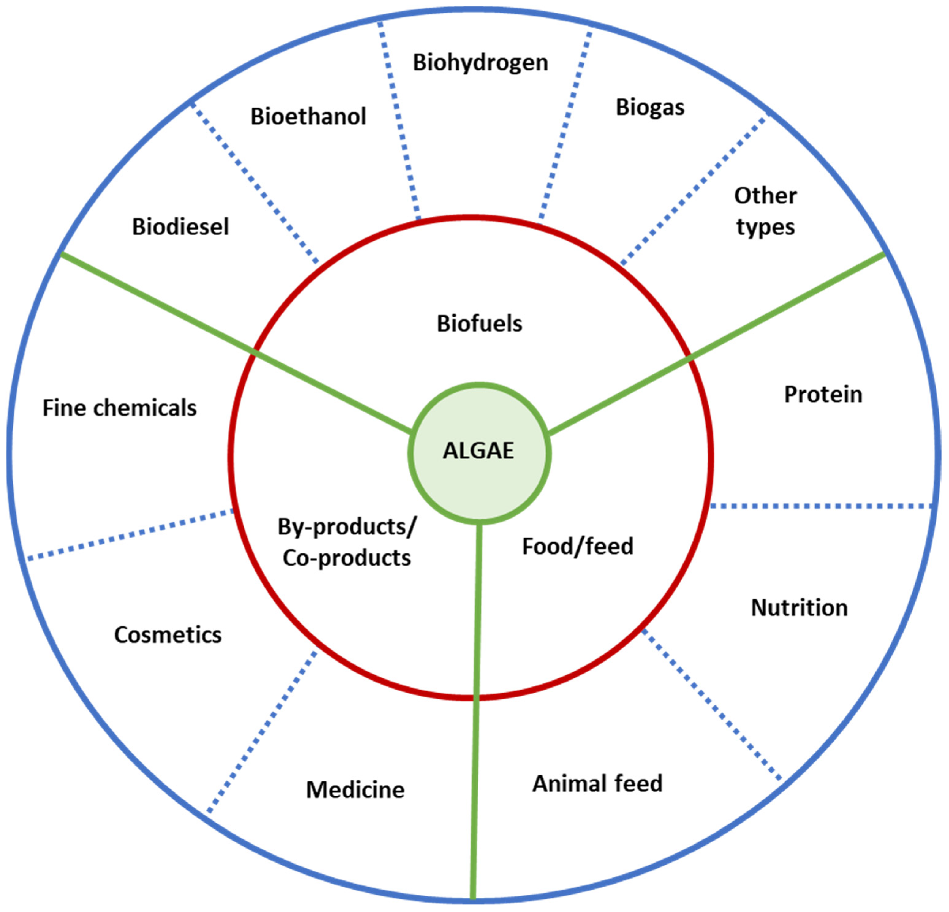 Molecules 27 02540 g001