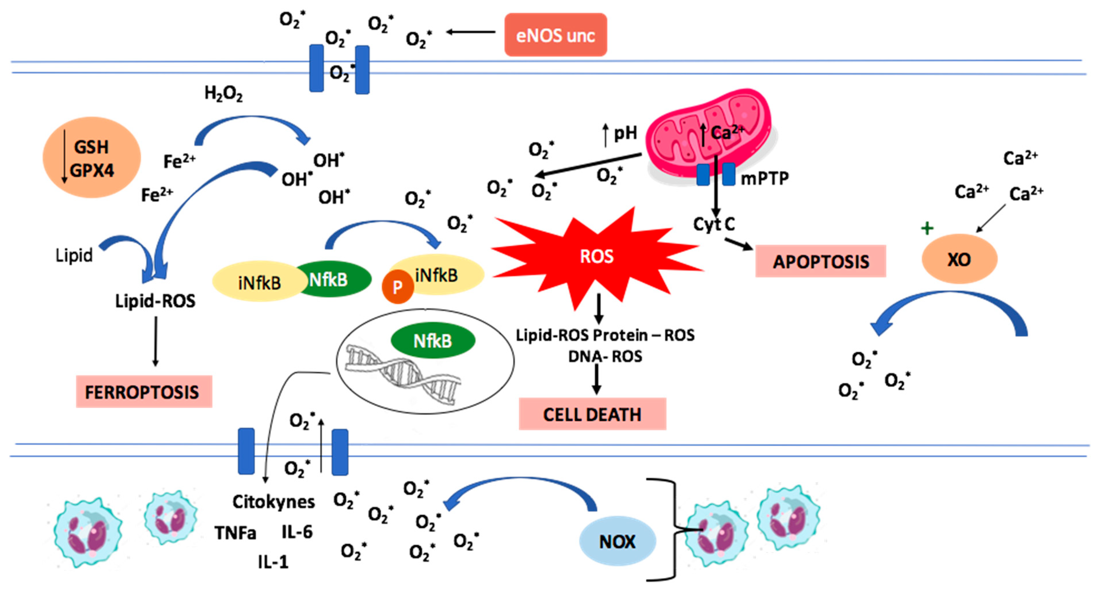 Molecules 27 02564 g001