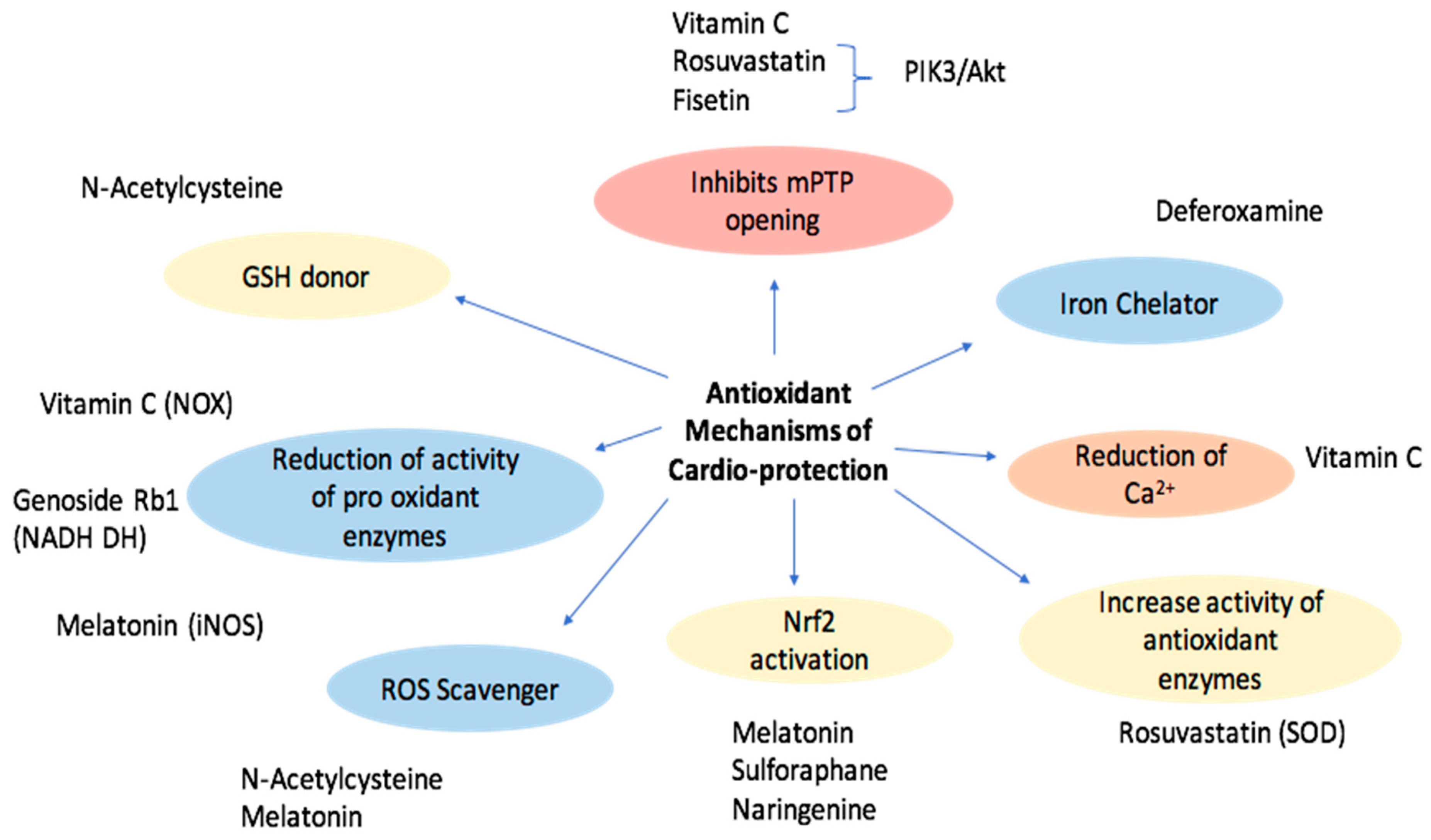 Molecules 27 02564 g002