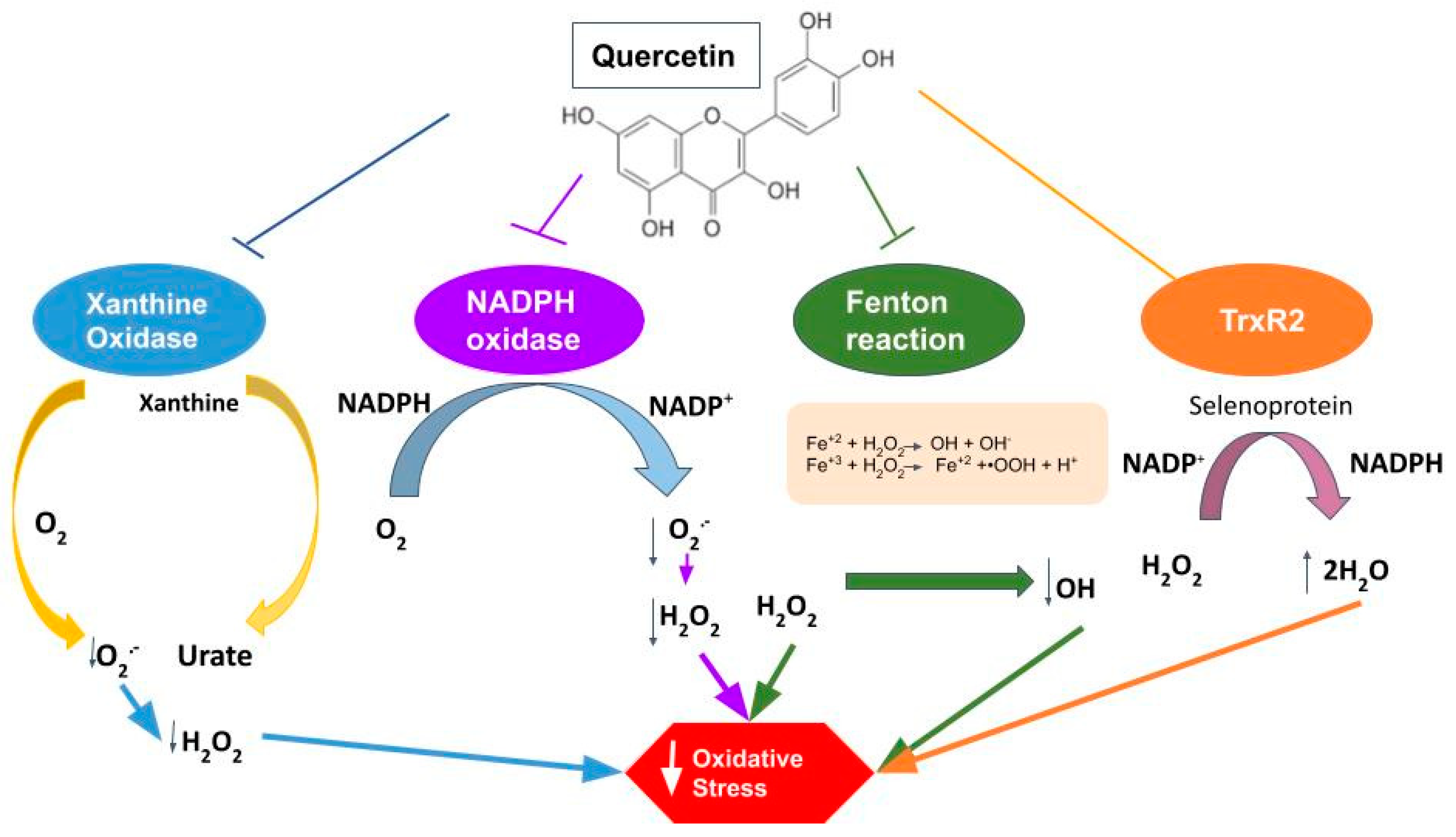 Molecules 27 02564 g006
