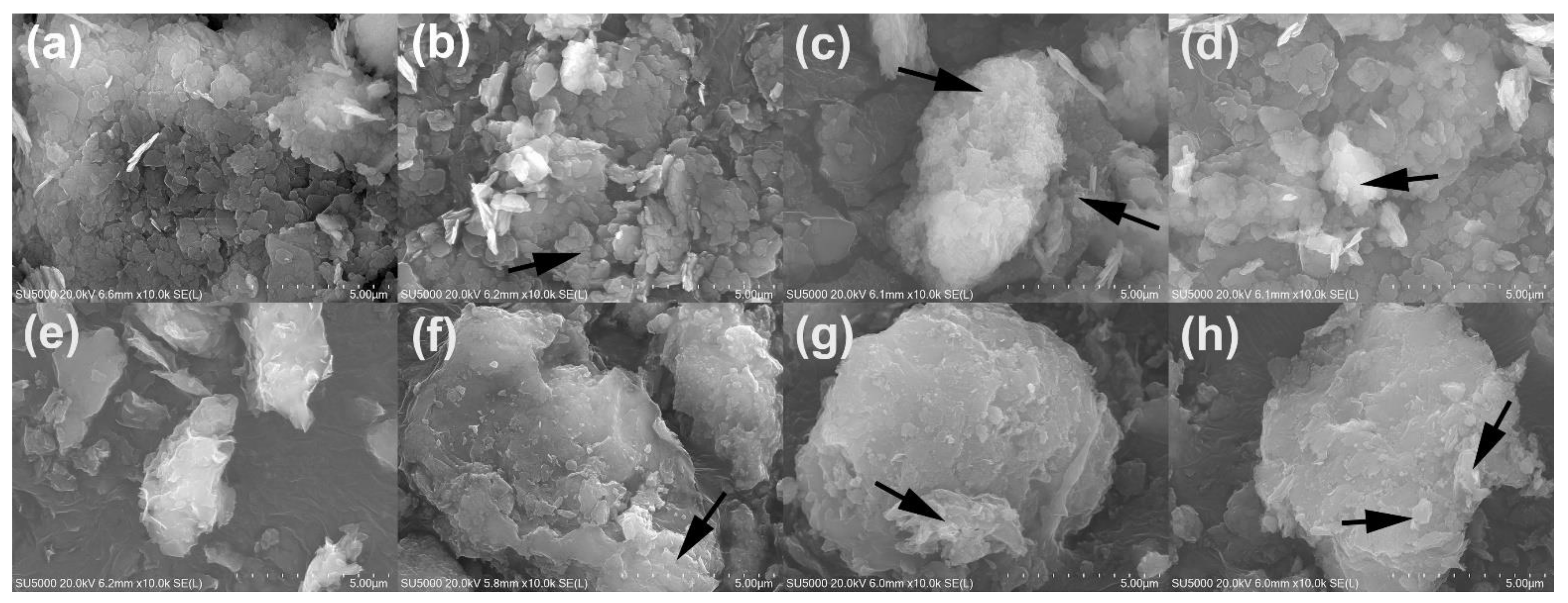 Molecules 27 02571 g002