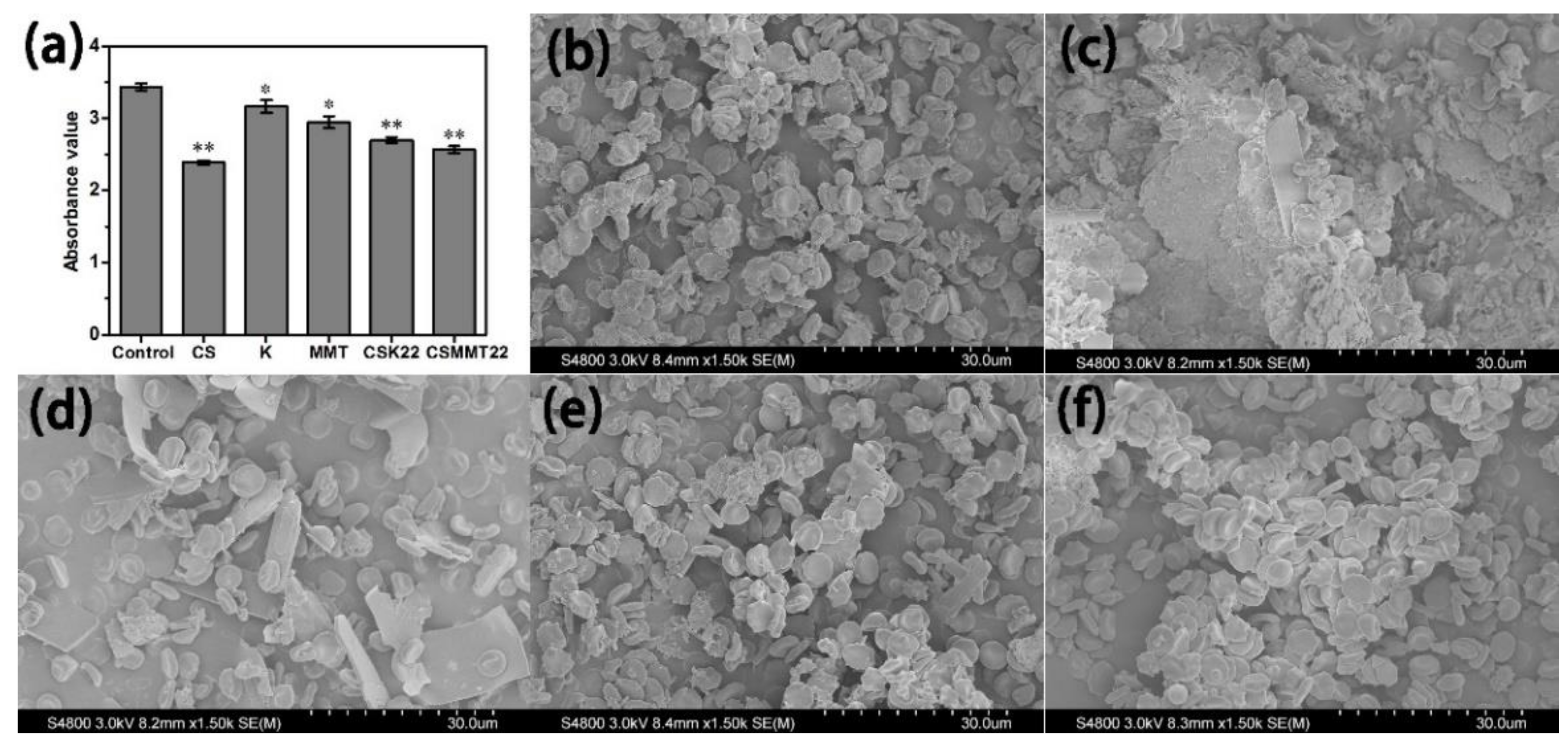 Molecules 27 02571 g006