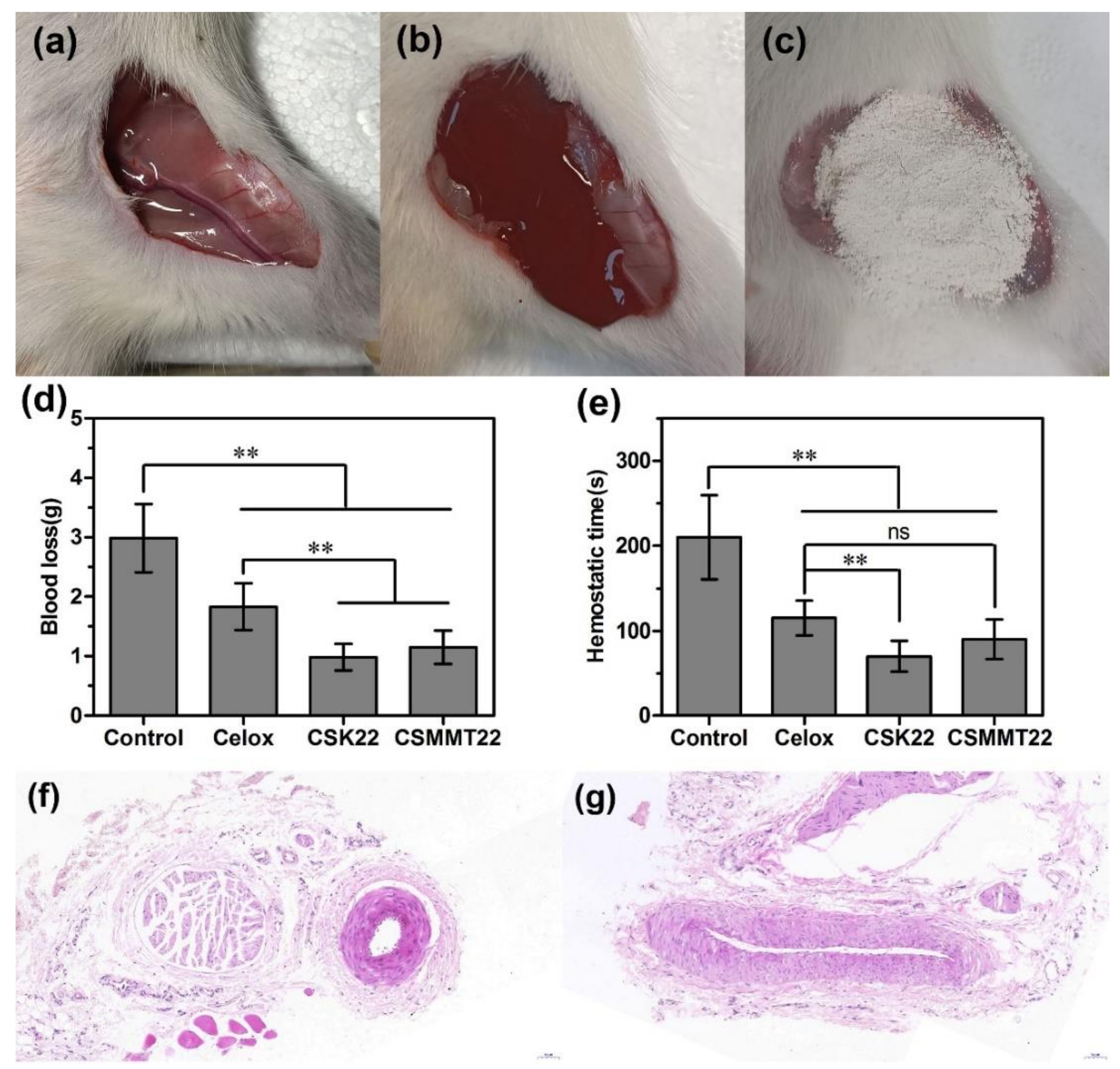 Molecules 27 02571 g008
