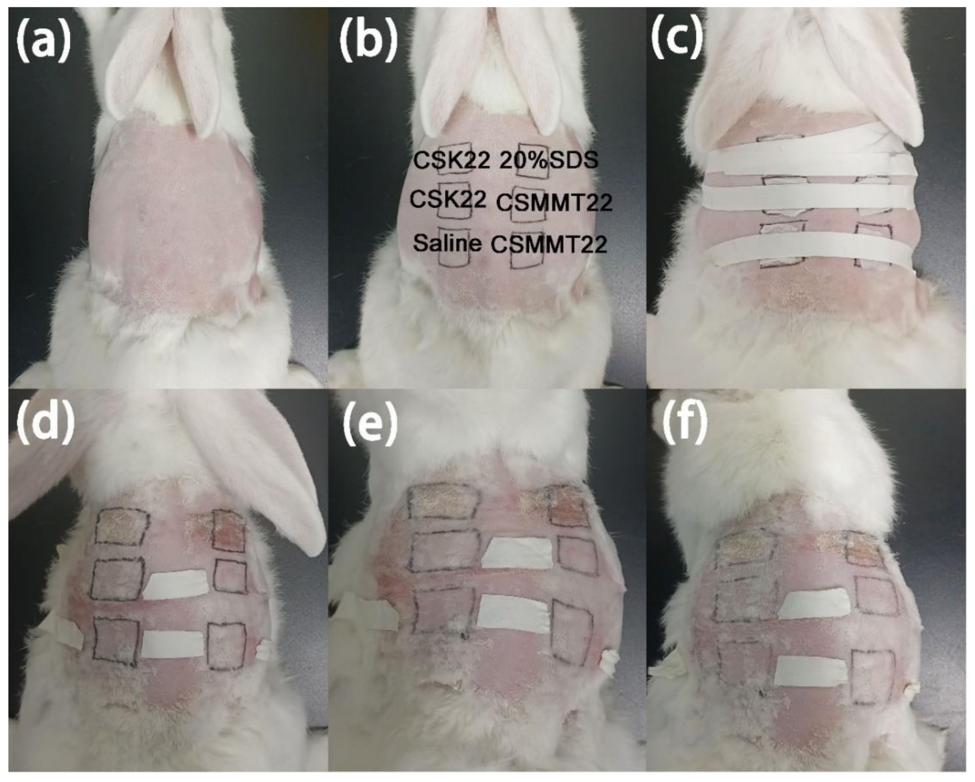 Molecules 27 02571 g012