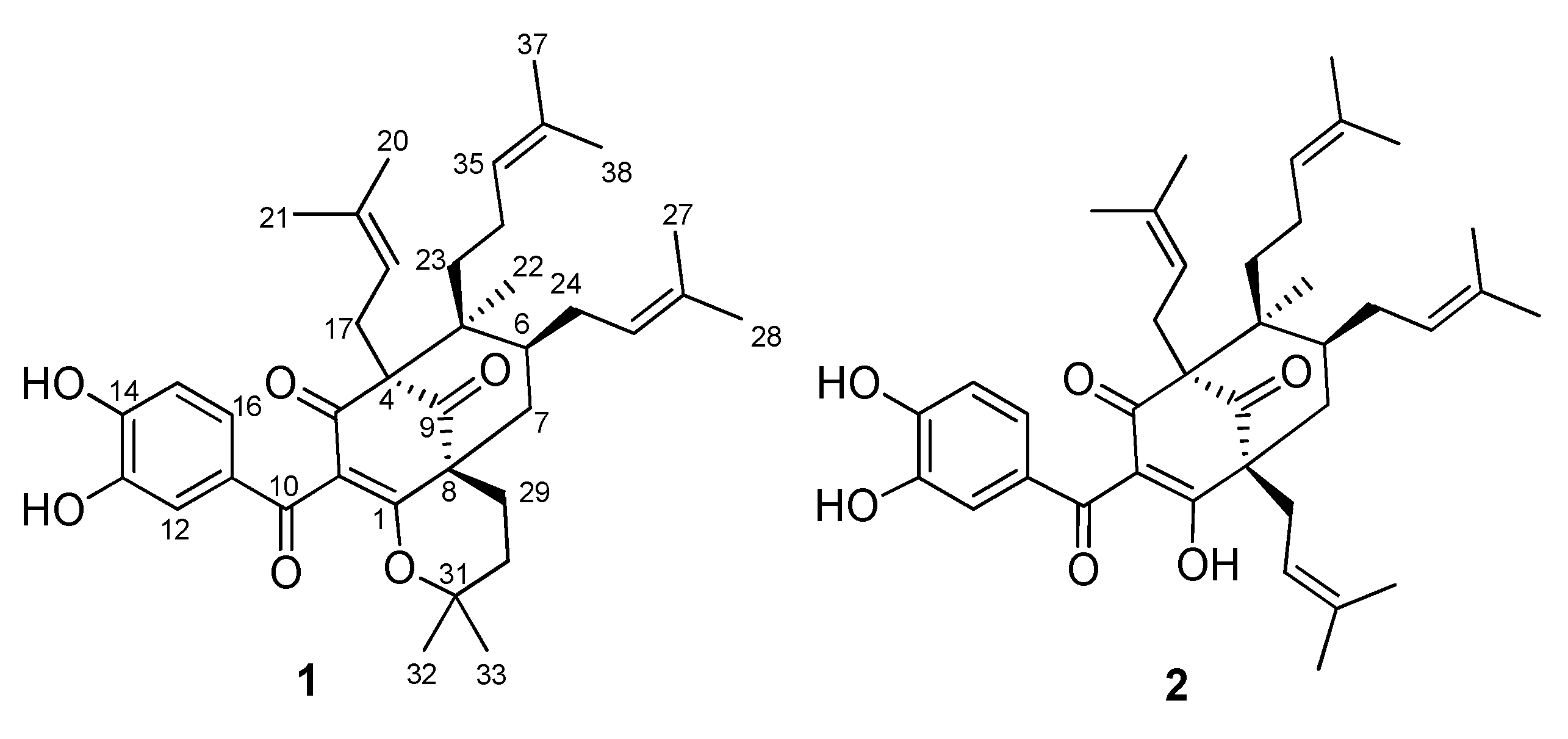 Molecules 27 02574 g001
