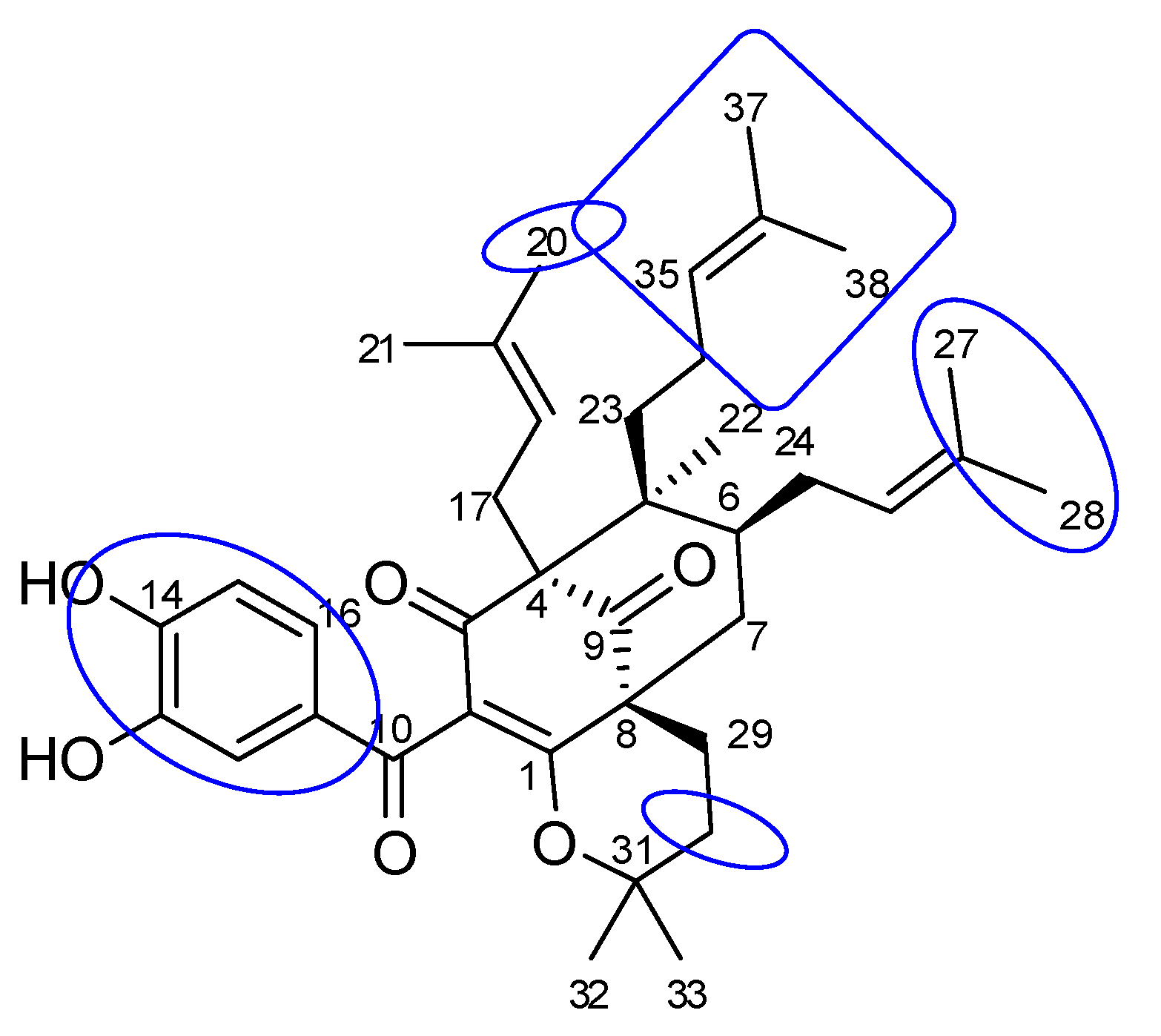 Molecules 27 02574 g006