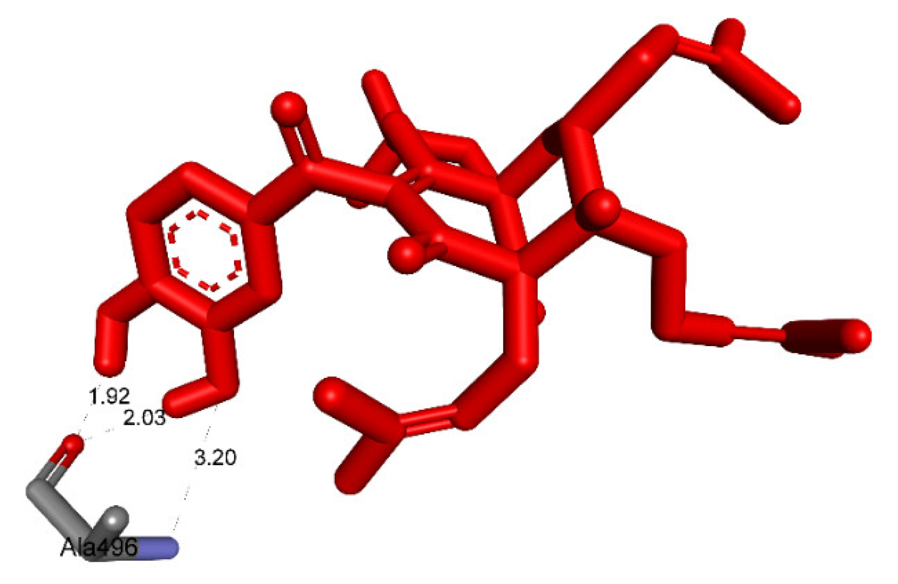 Molecules 27 02574 g016