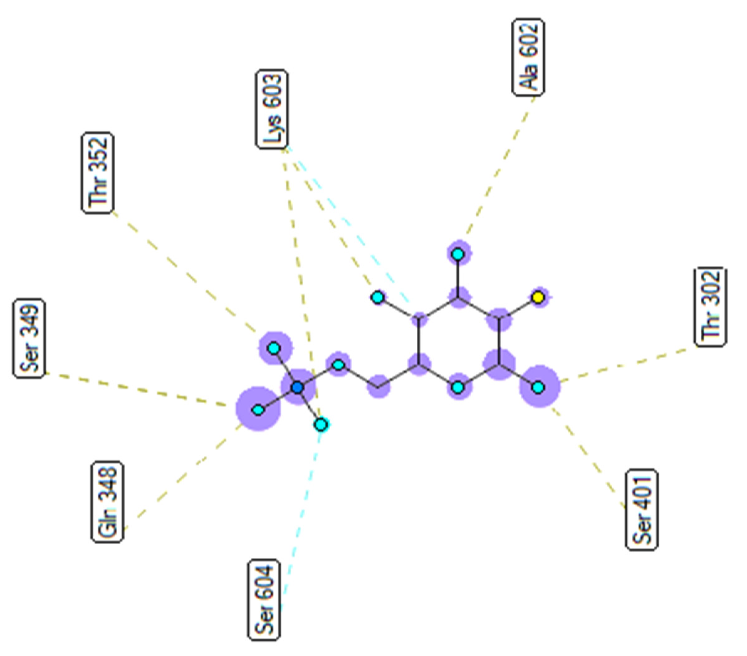 Molecules 27 02574 g027