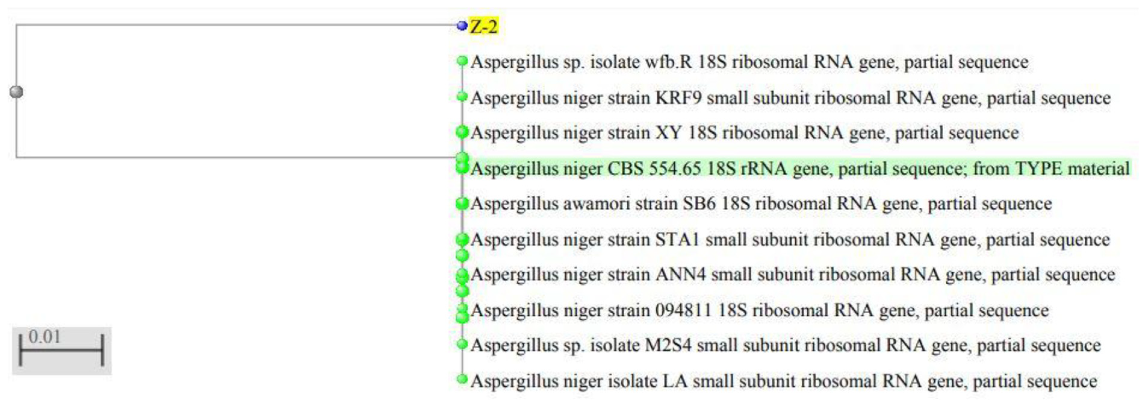 Molecules 27 02590 g002