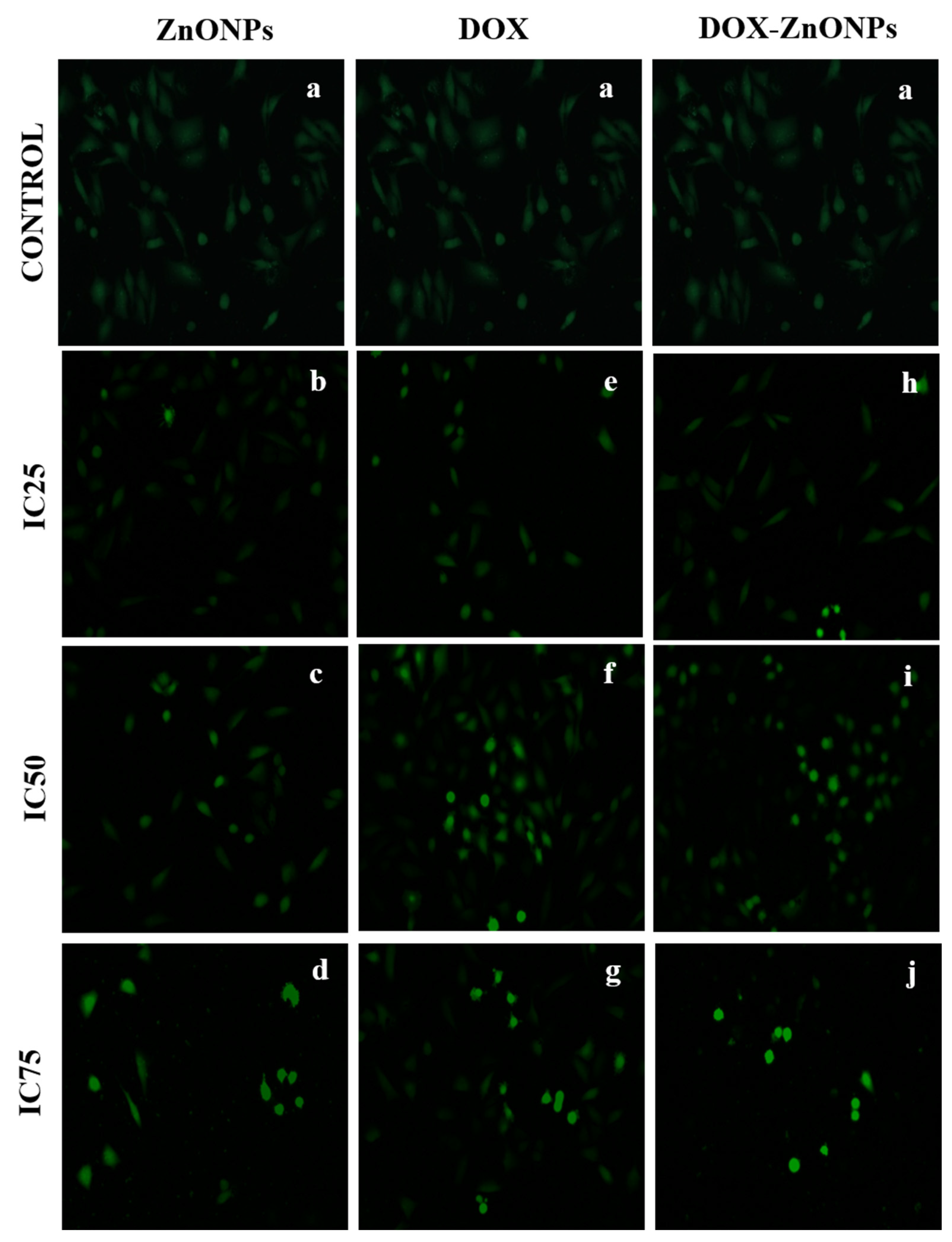 Molecules 27 02590 g010