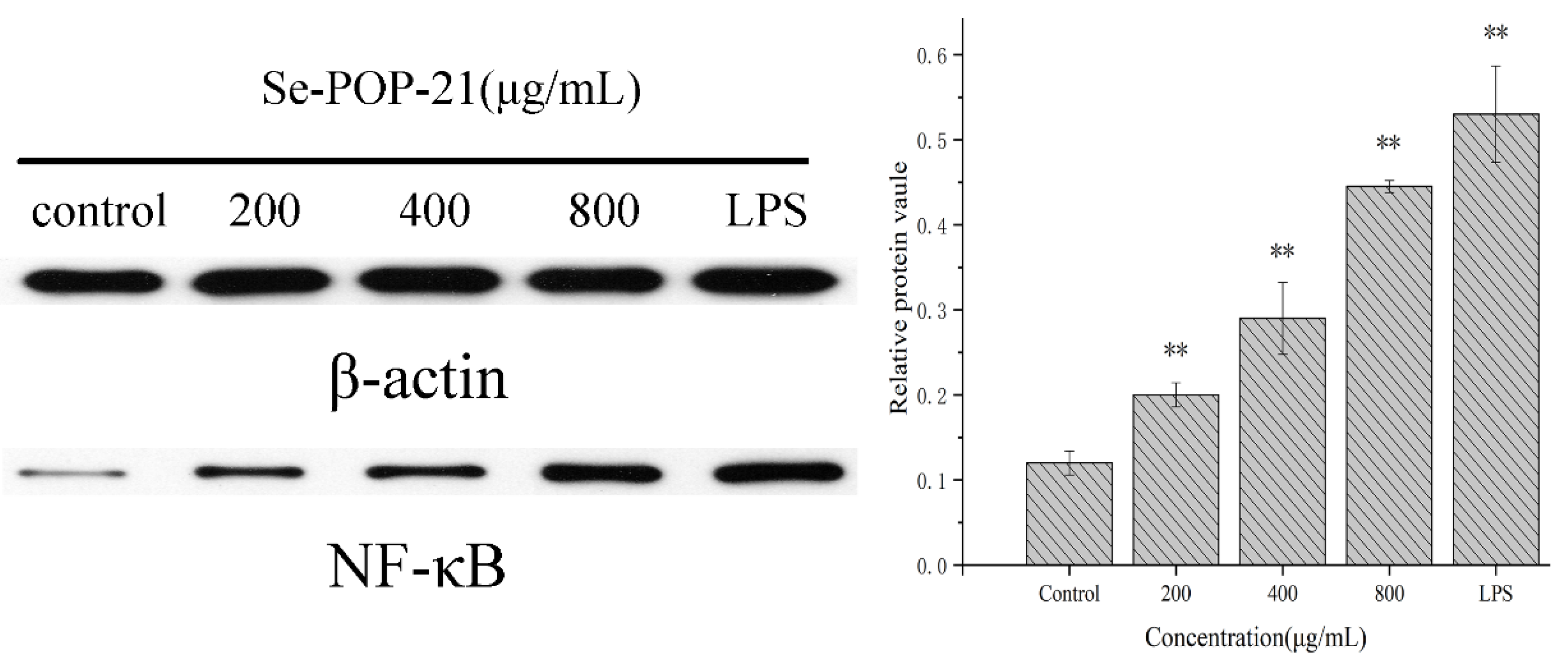 Molecules 27 02591 g009 Molecules 27 02591 g009
