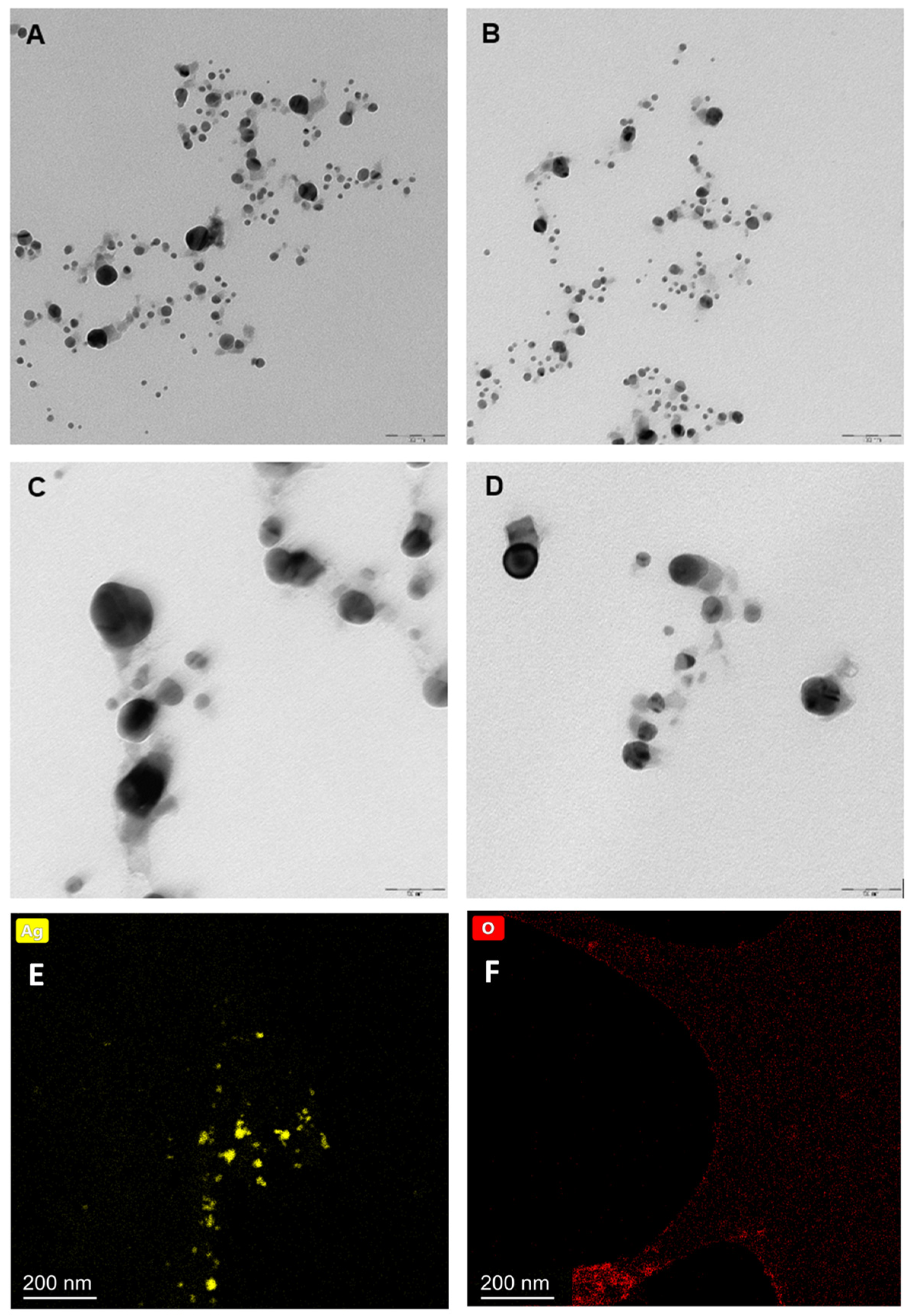 Molecules 27 02592 g002