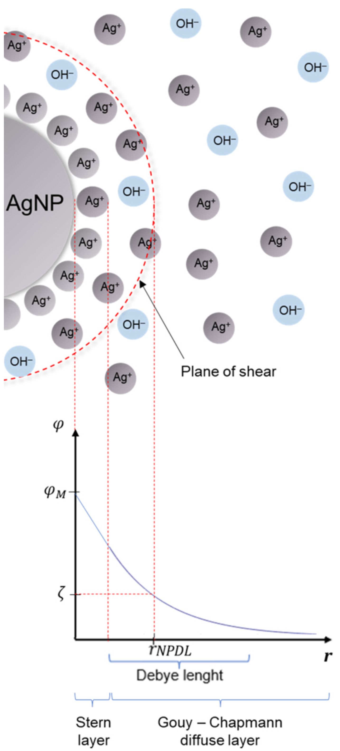 Molecules 27 02592 g003
