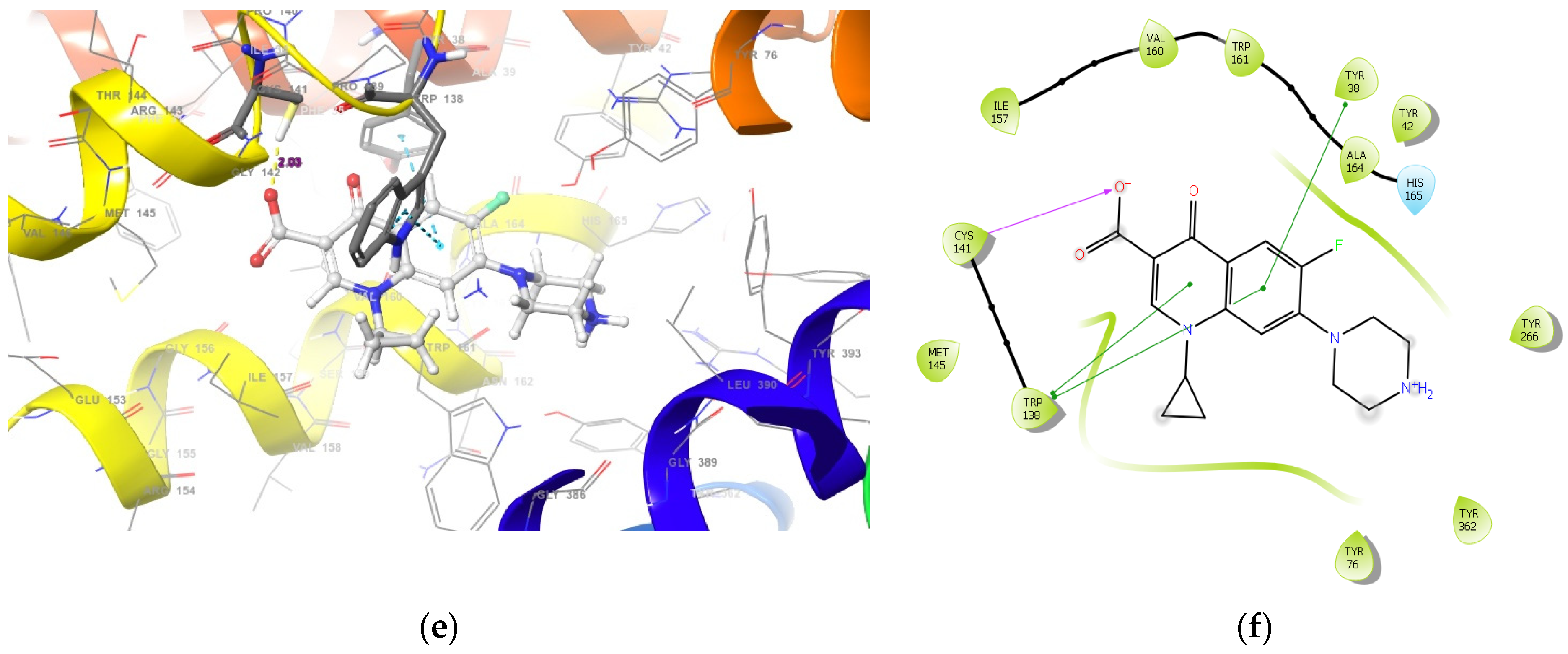 Molecules 27 02601 g001b