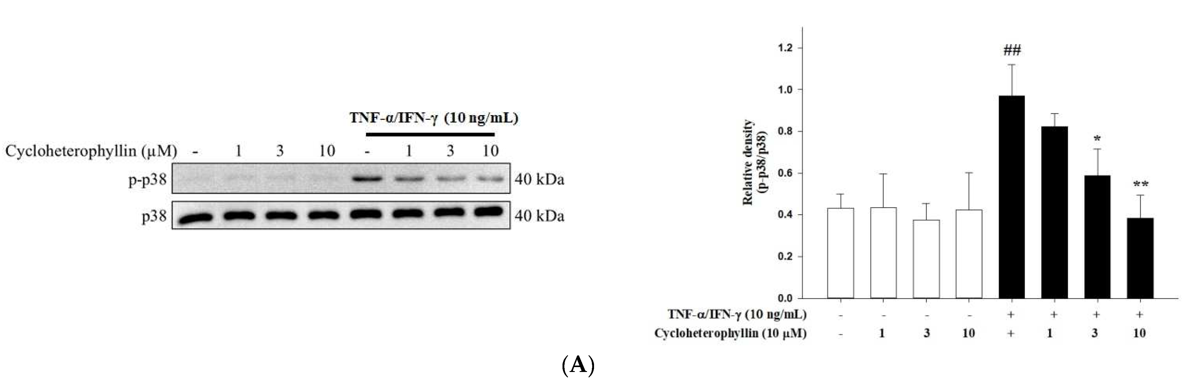 Molecules 27 02610 g003a Molecules 27 02610 g003a