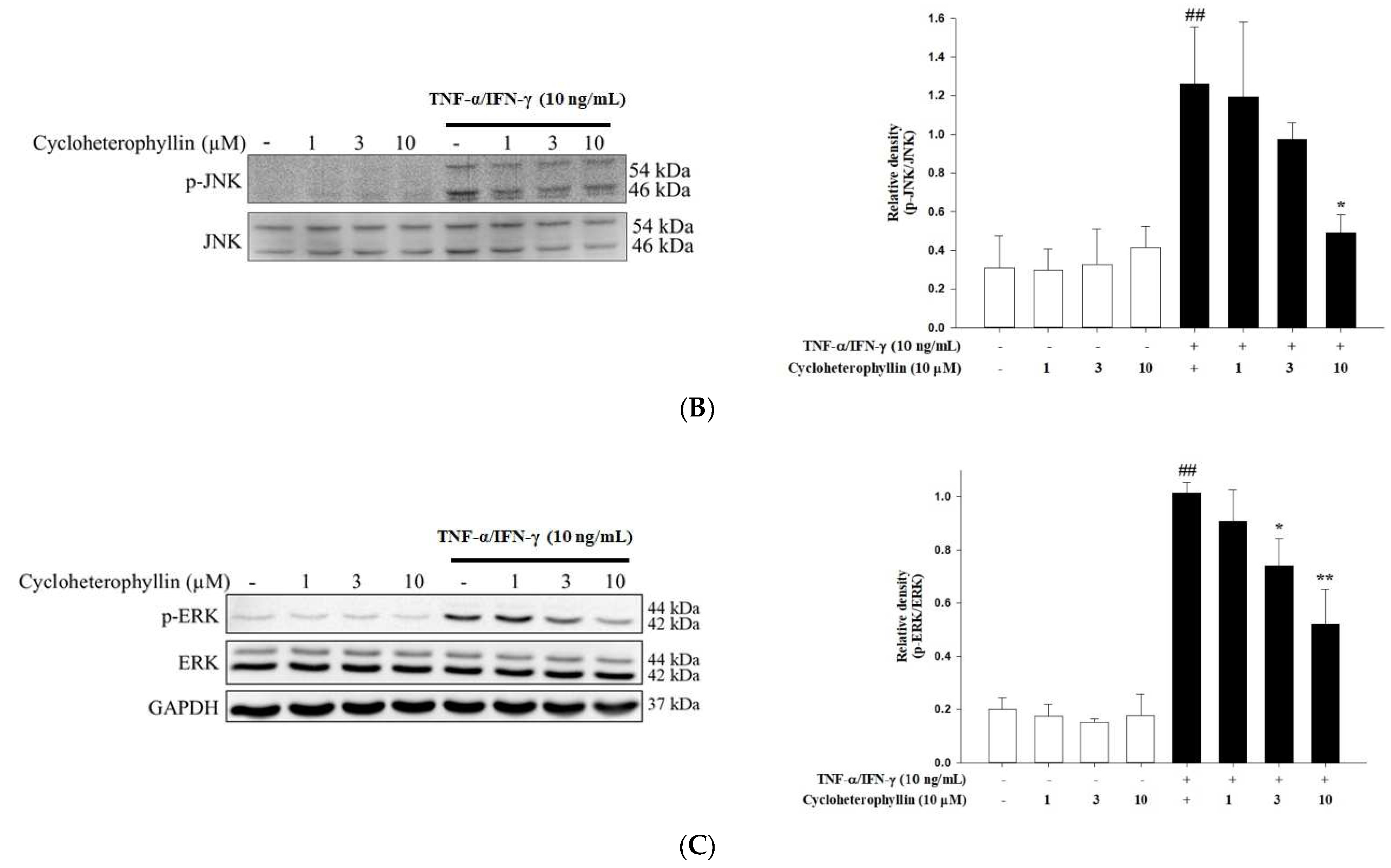 Molecules 27 02610 g003b Molecules 27 02610 g003b