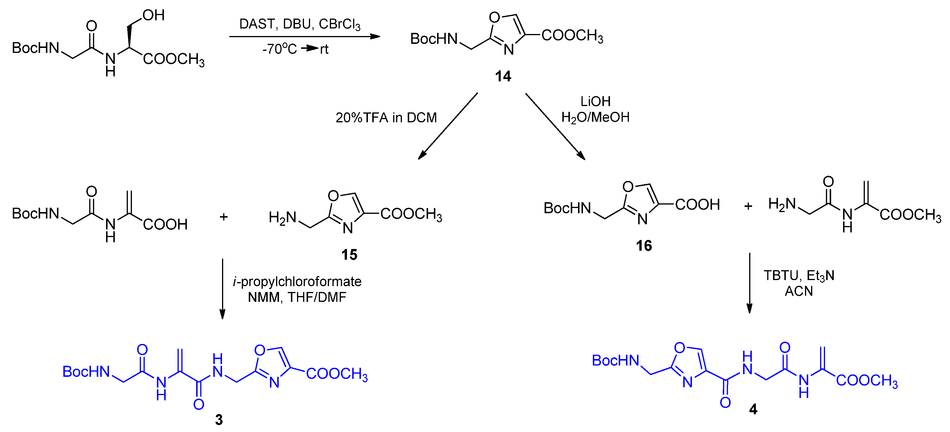 Molecules 27 02611 sch006
