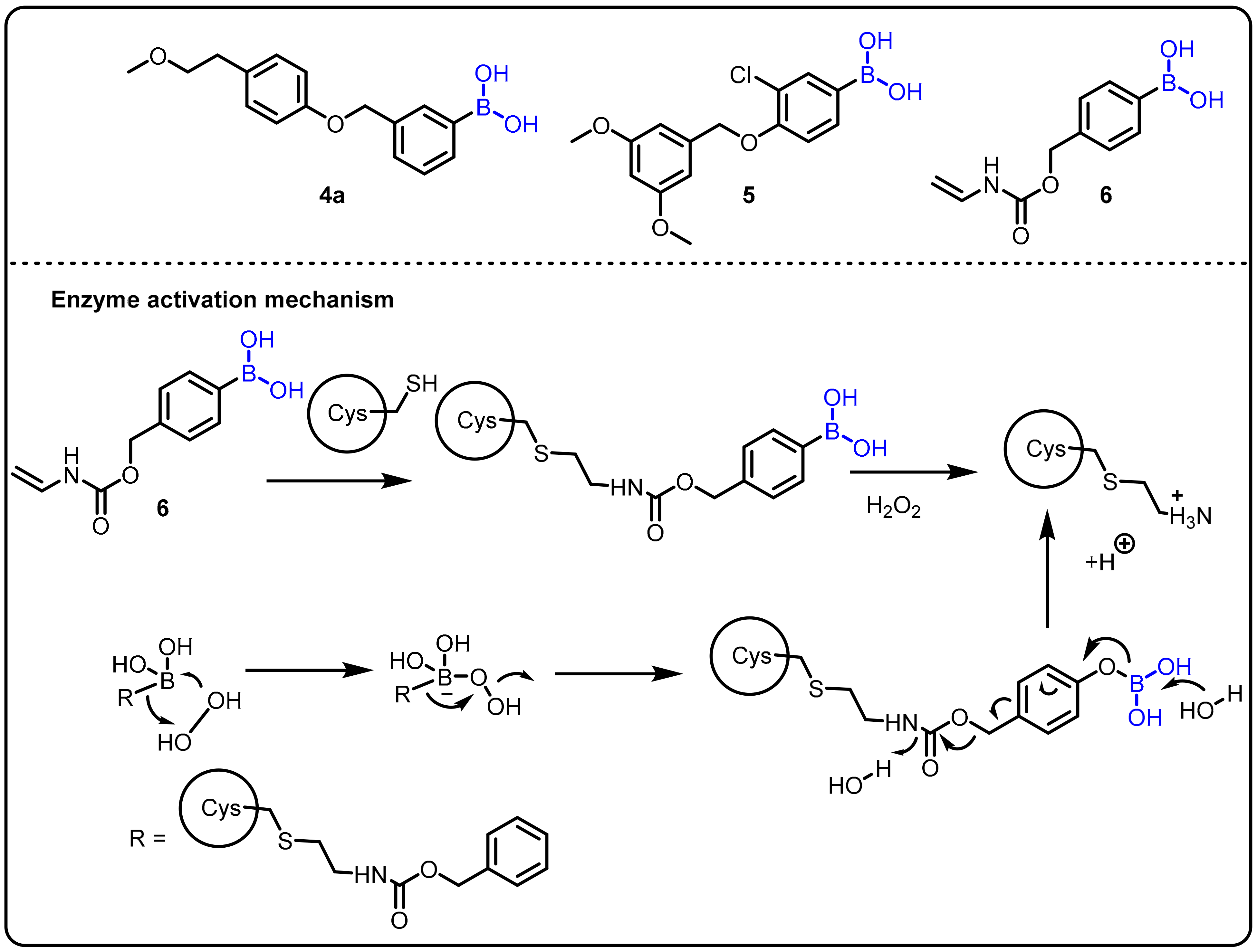 Molecules 27 02615 sch002