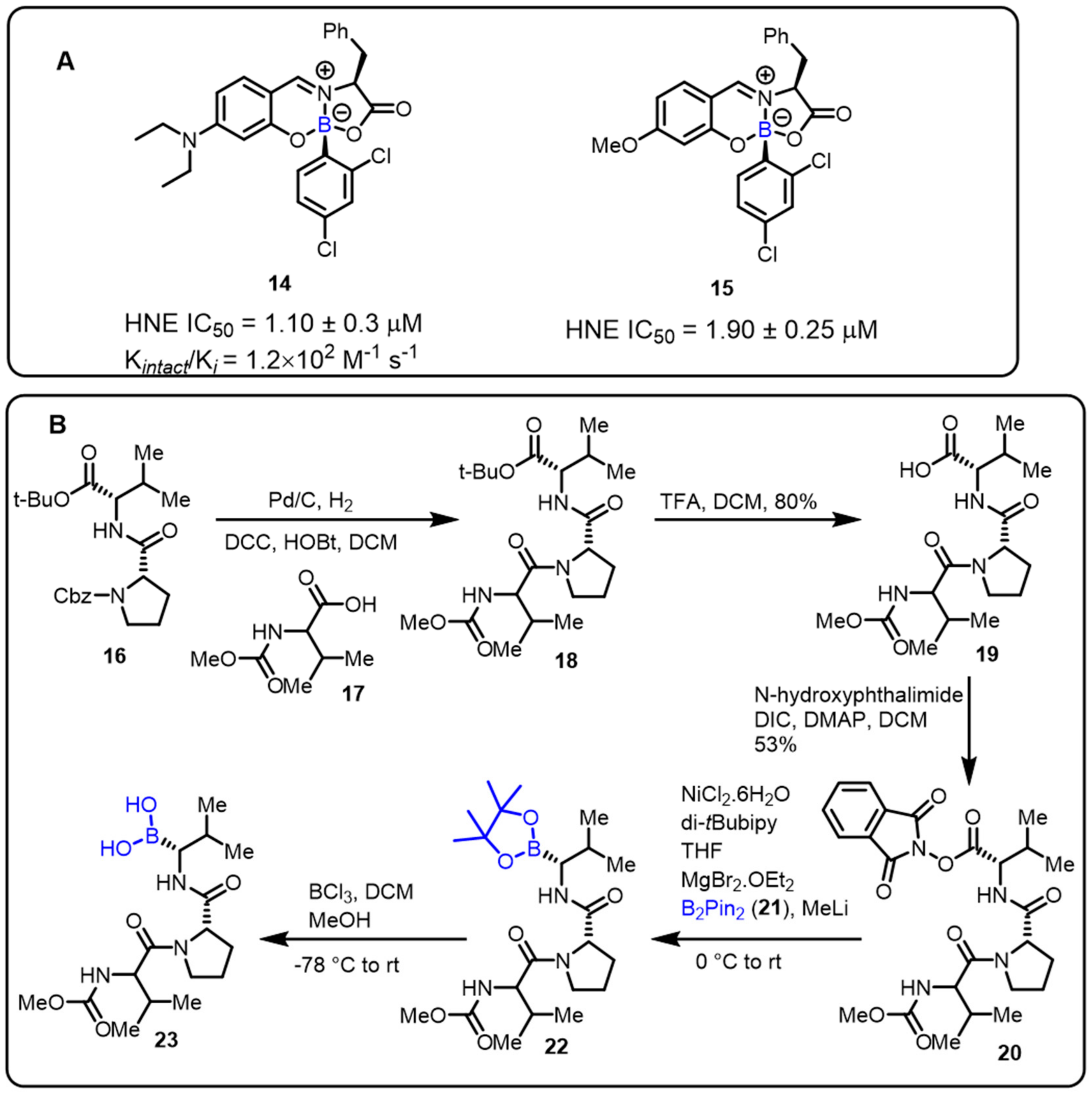 Molecules 27 02615 sch005